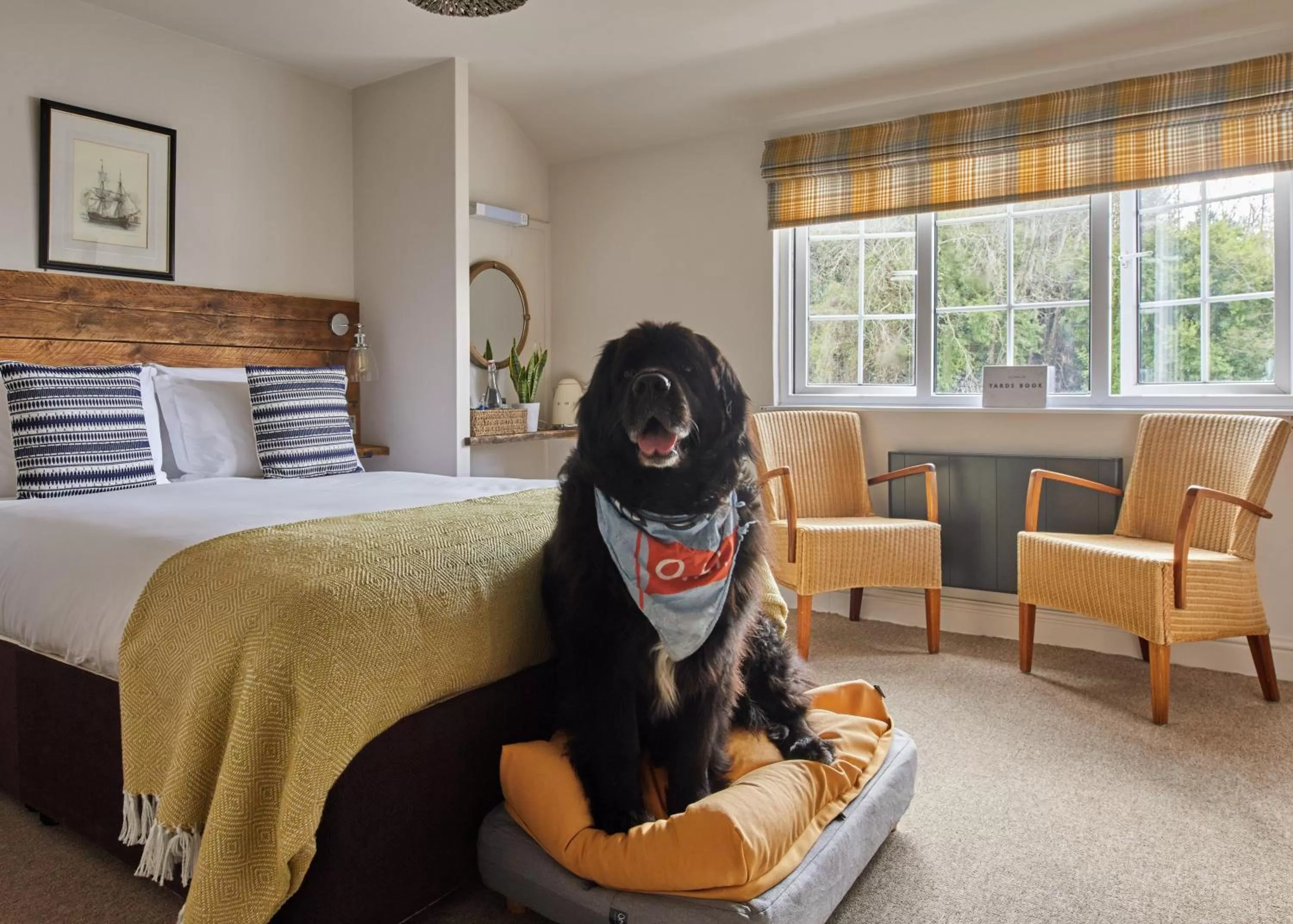 Animals in The Old Ferry Inn