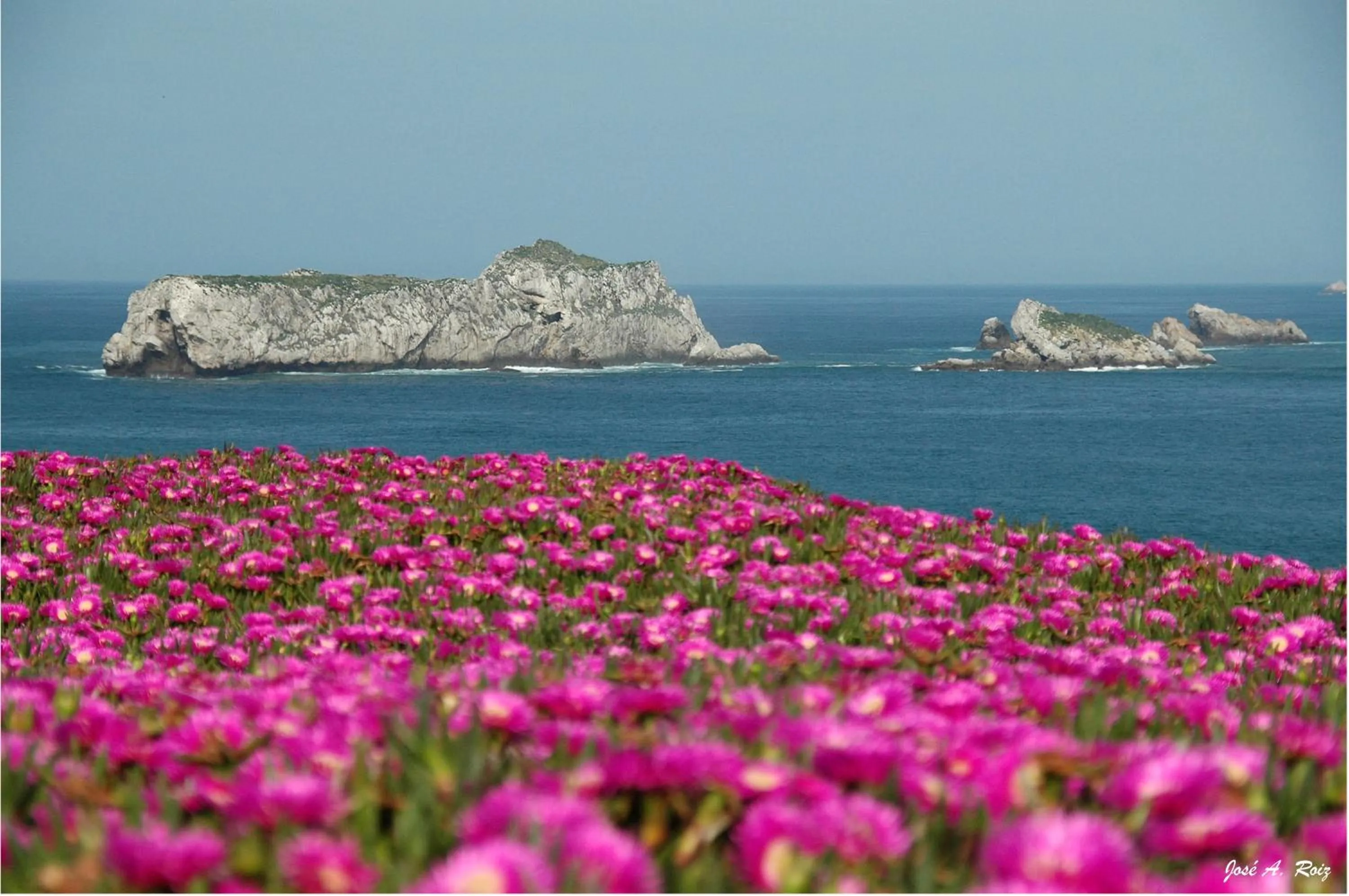 Sea view in Hotel El Castillo de Los Locos