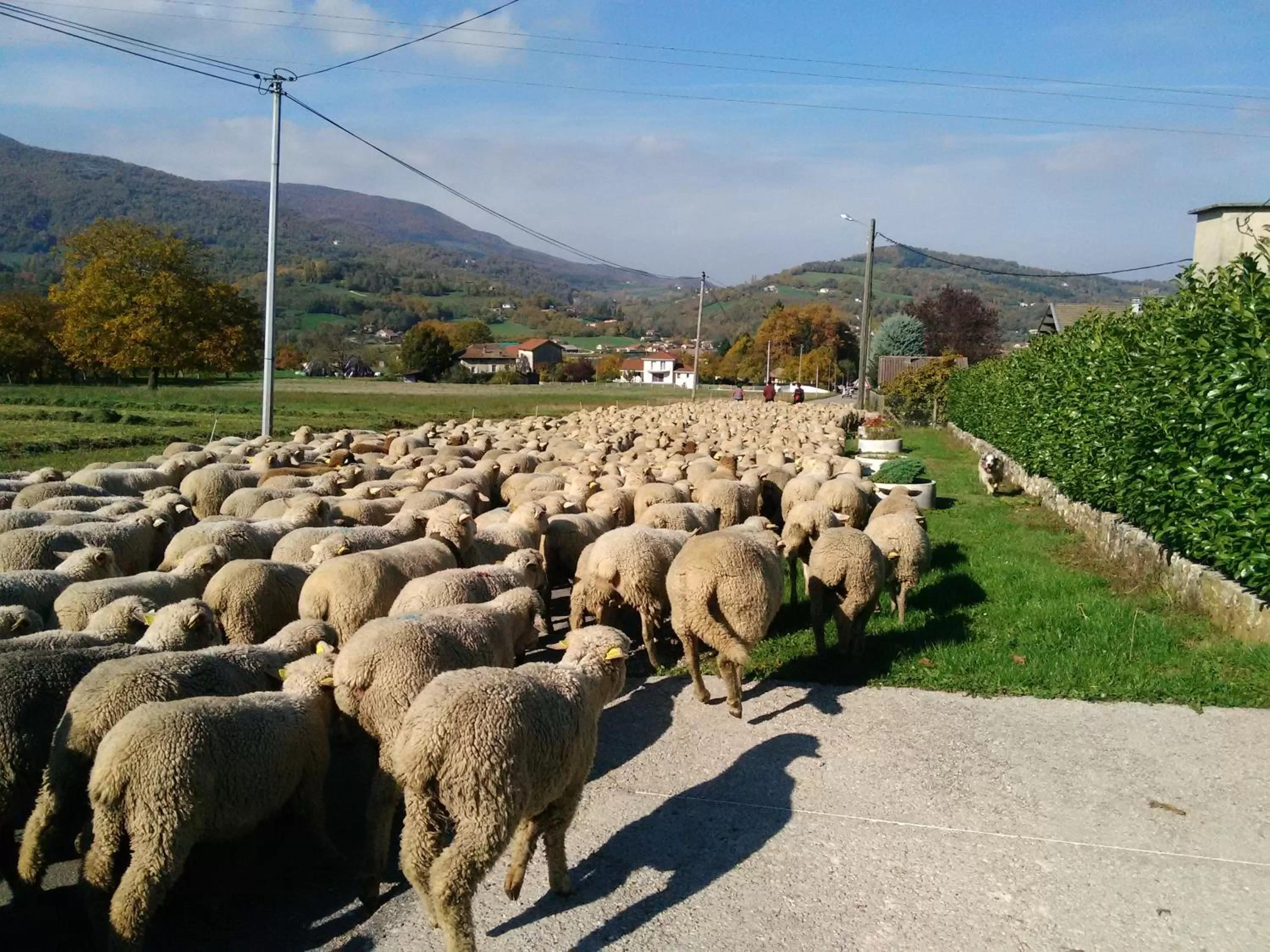 View (from property/room) in L'Estapade des Tourelons