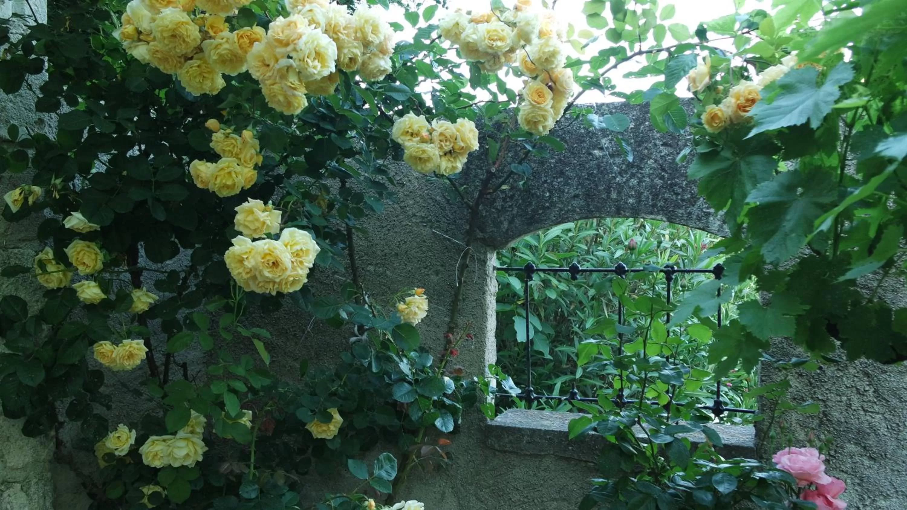 Garden in Mas Grimaud - Gîte- Studio et chambres d'hôtes familiales