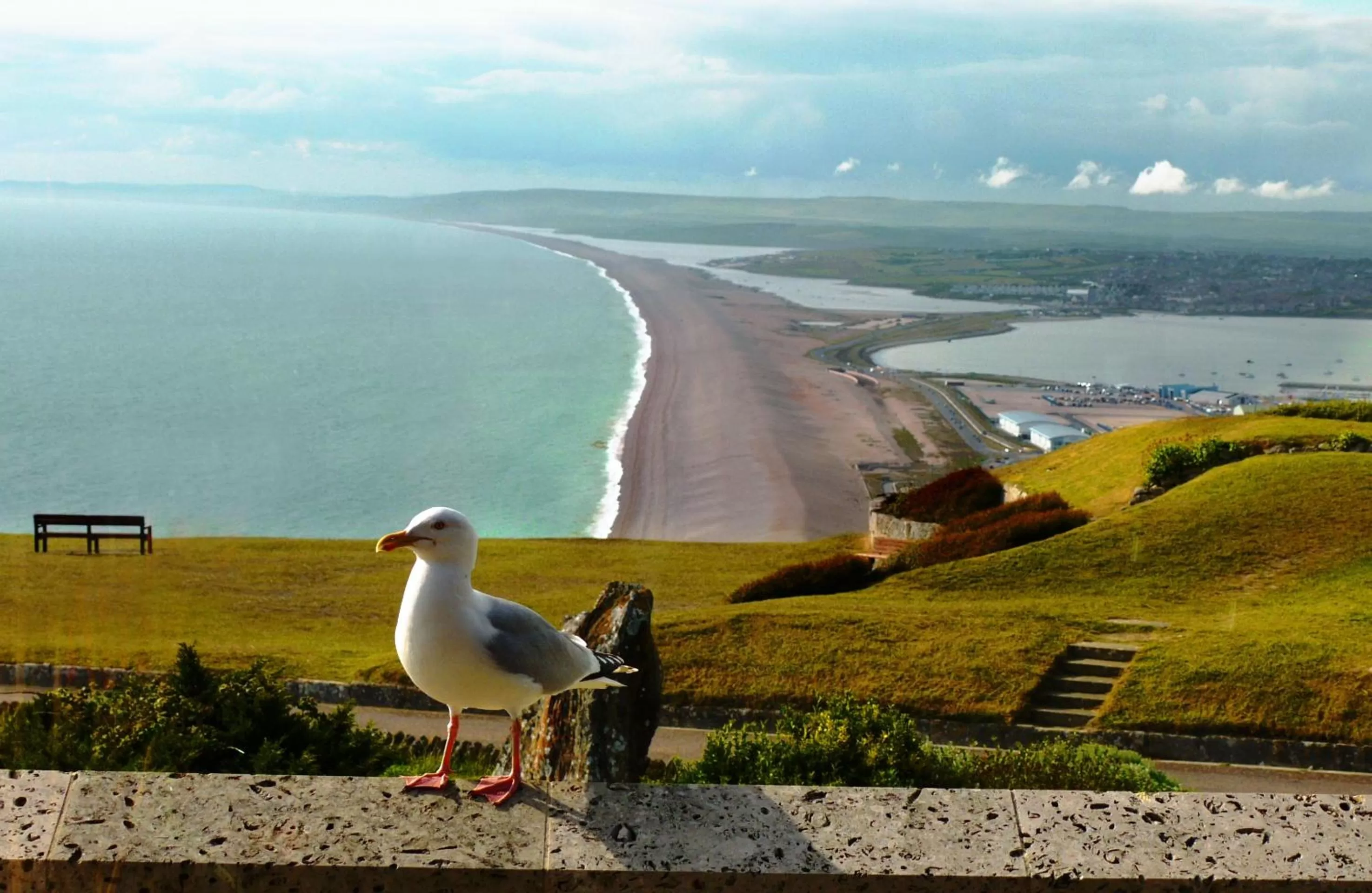 View (from property/room) in Heights Hotel