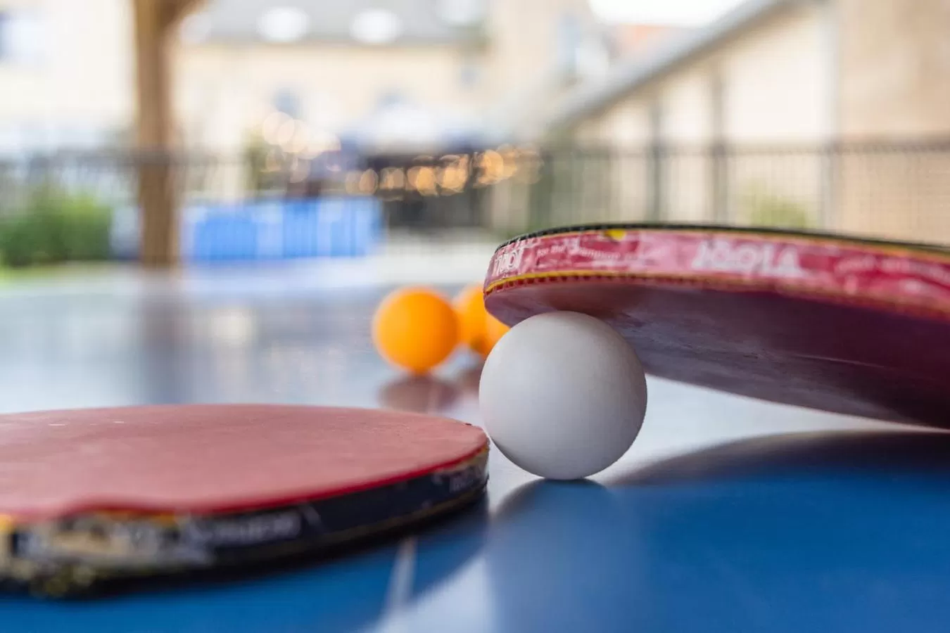 Activities in Oud Gemeentehuis