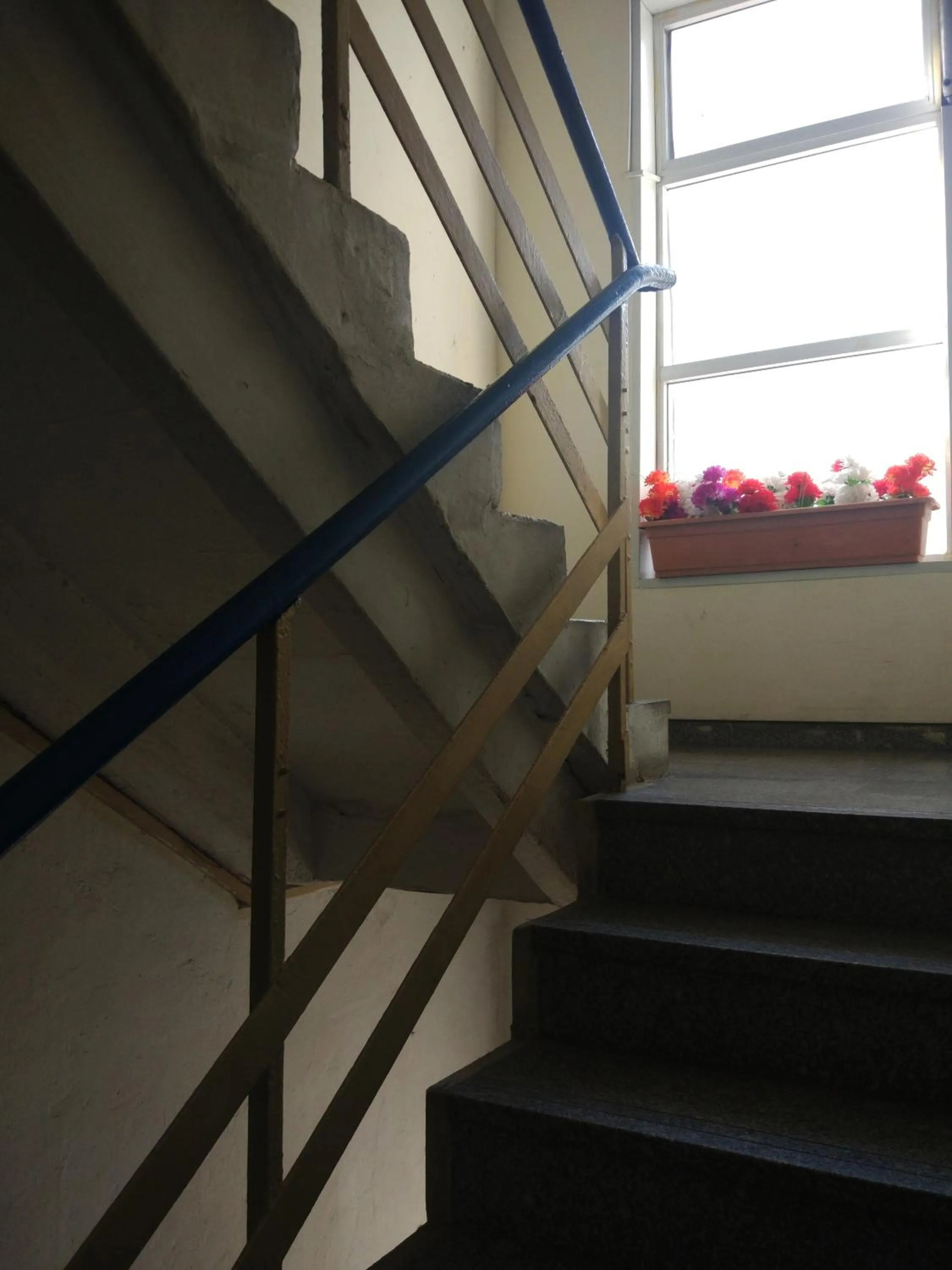 Balcony/Terrace in Momo's Hostel