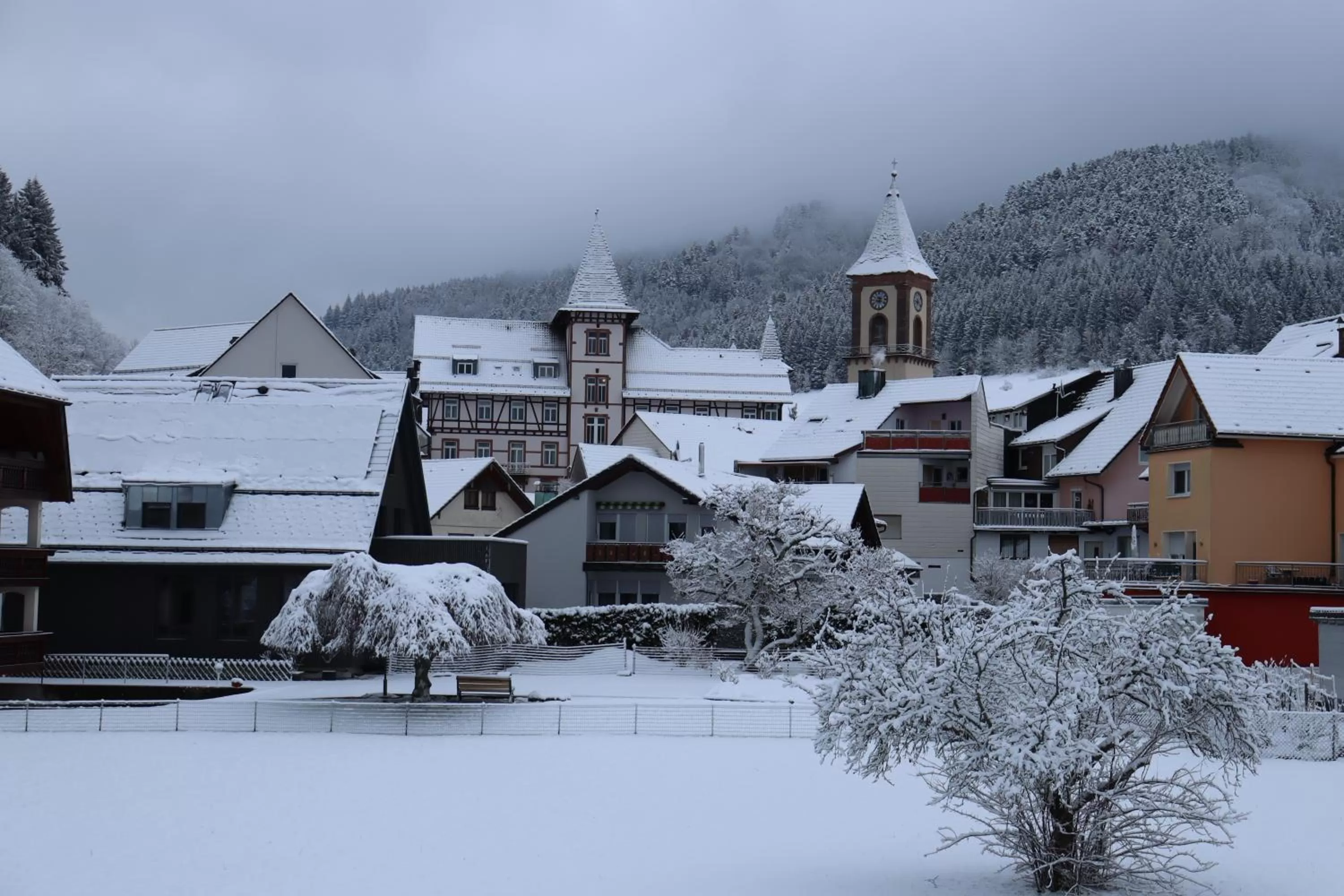 Garden view, Winter in Haus Hubertus
