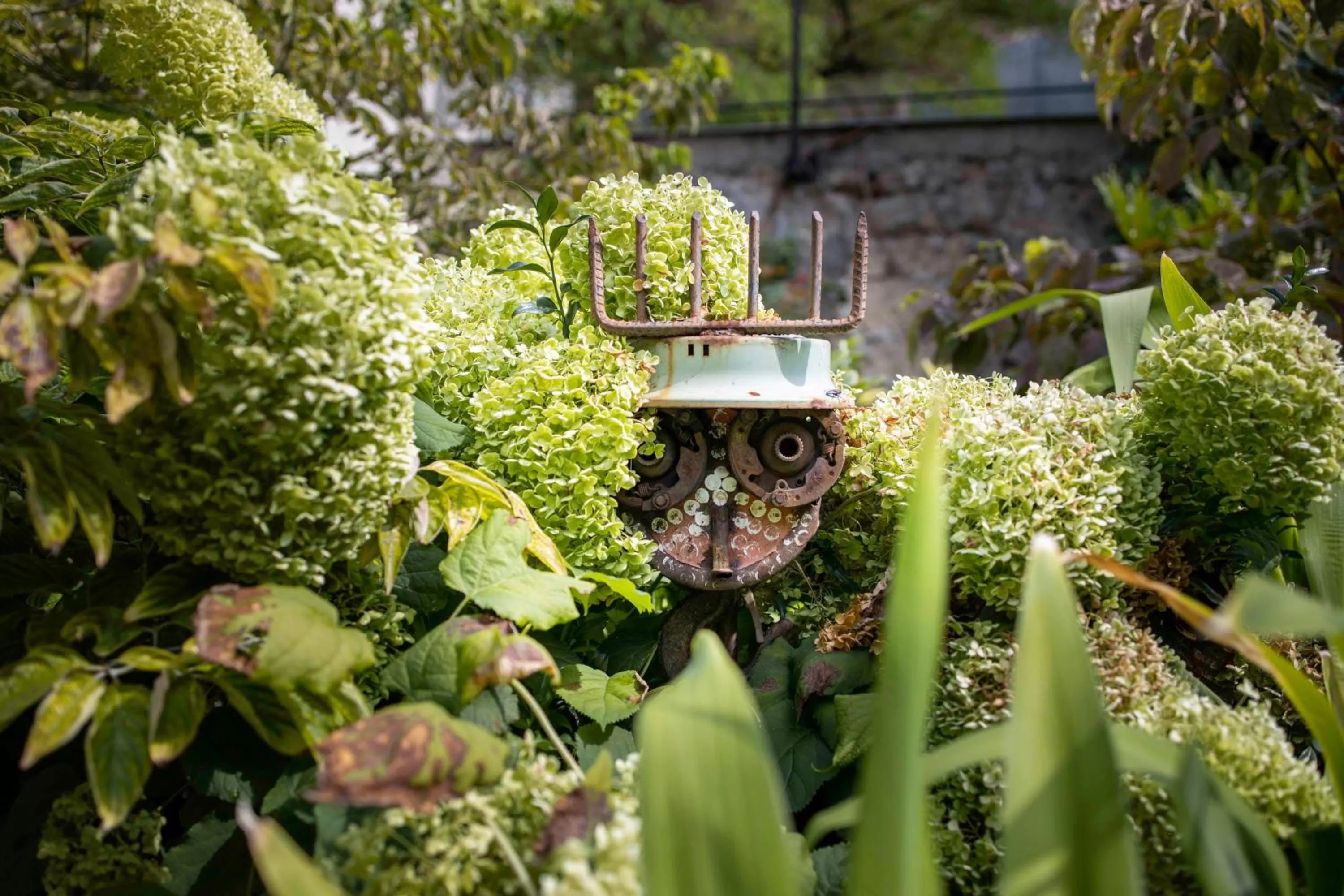 Garden in Hôtel Regent's Garden - Astotel
