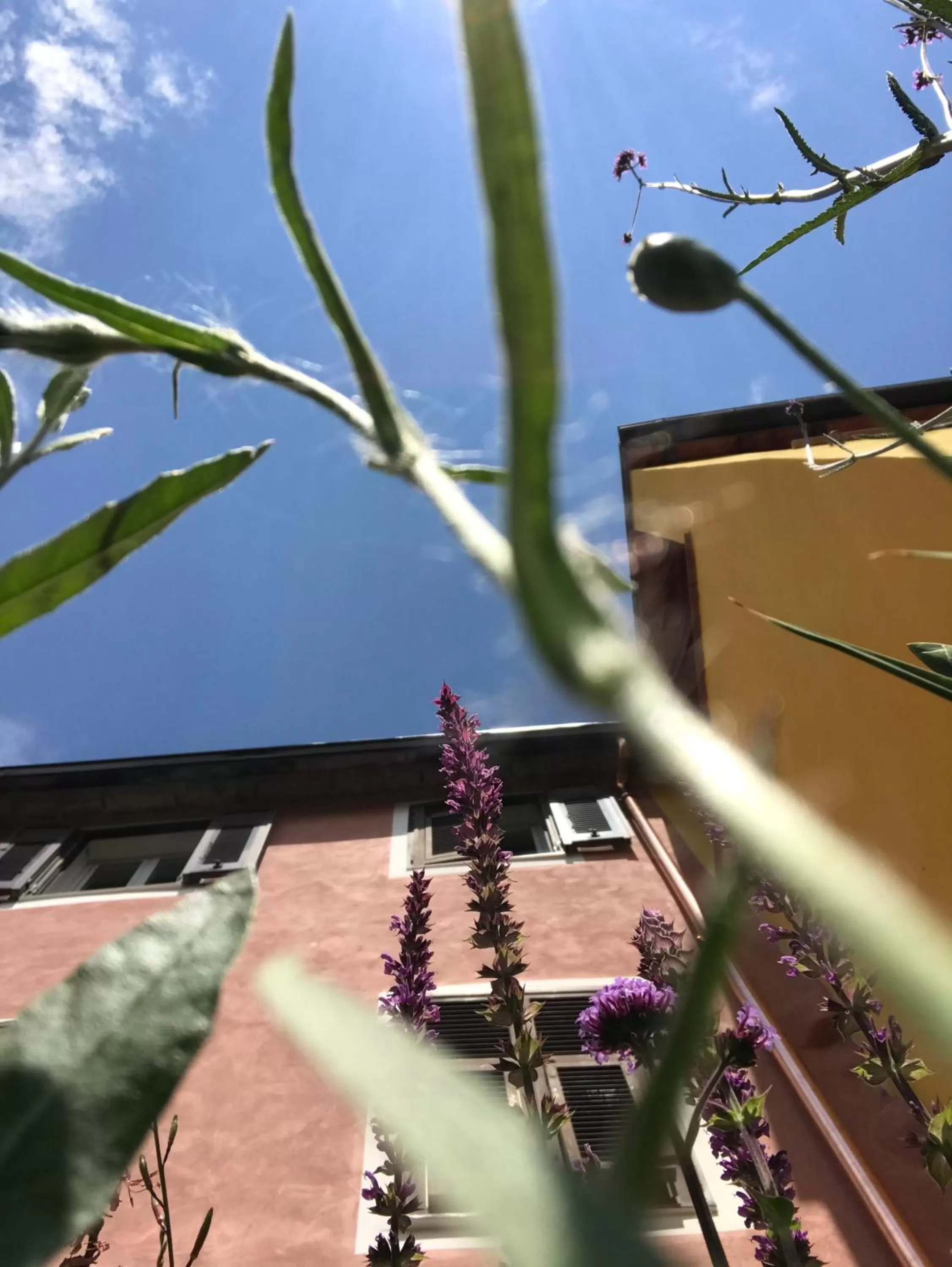 Ti vengo a cercare B&B