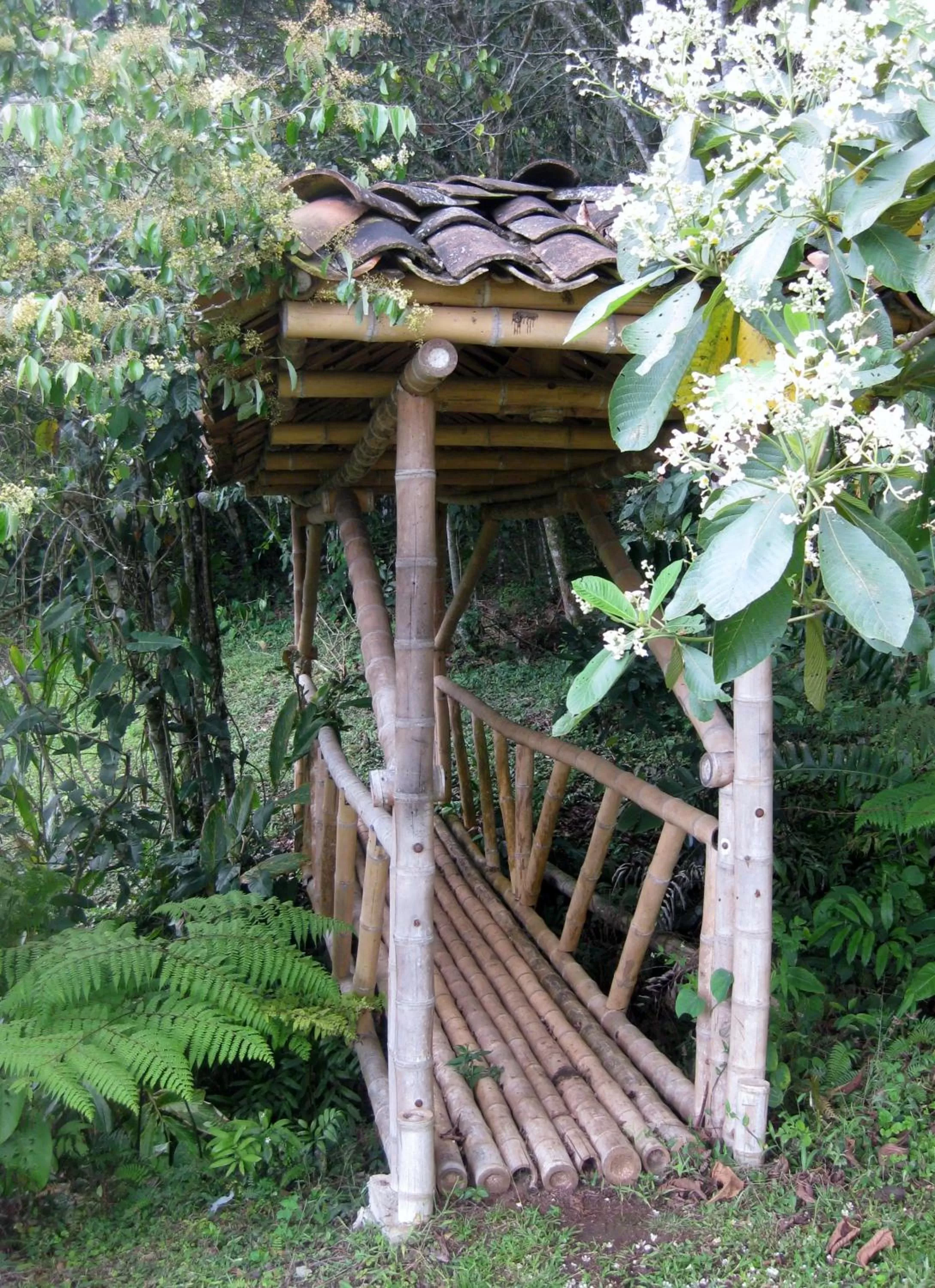 Area and facilities in Finca El Cielo