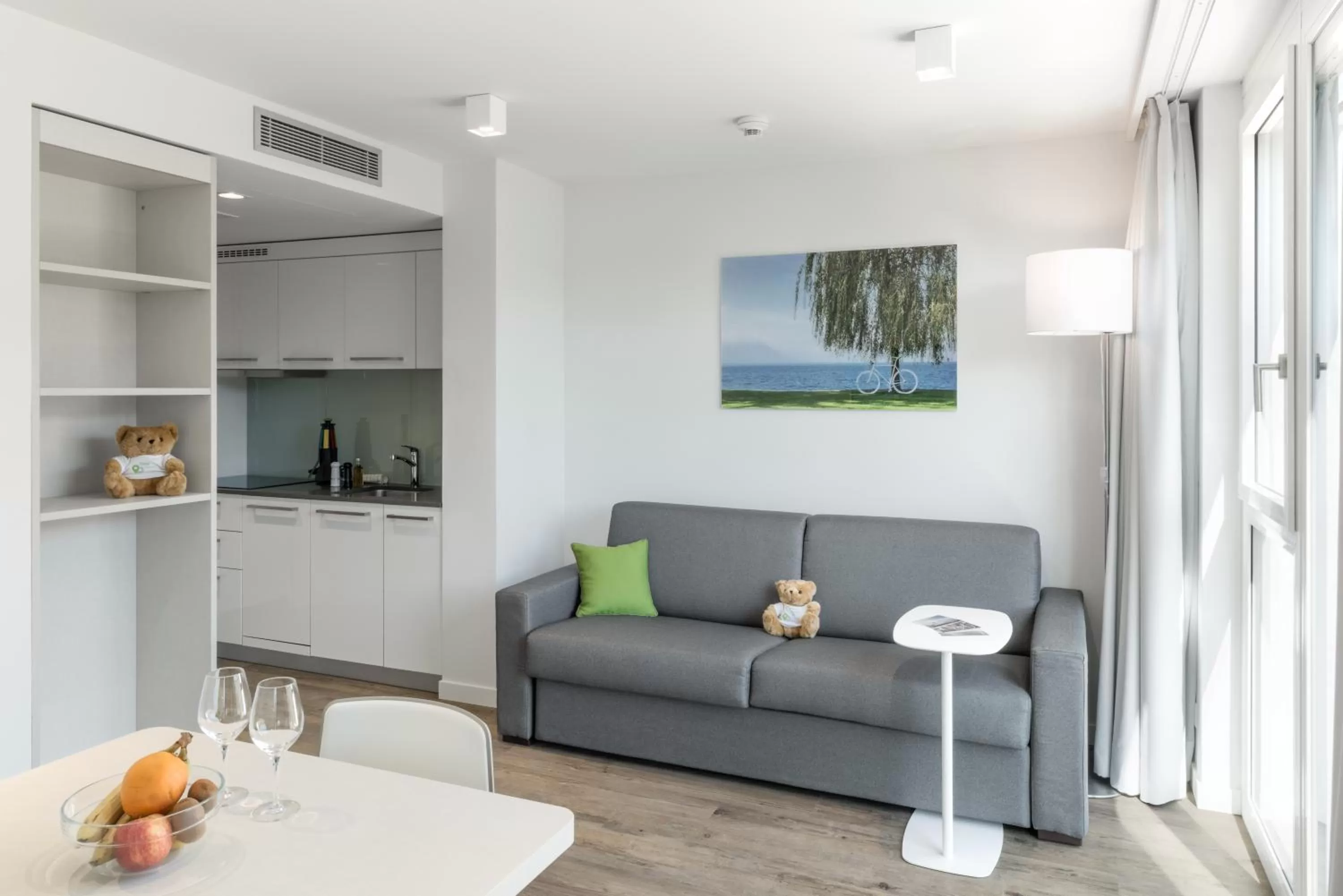 One-Bedroom Apartment in Base Vevey