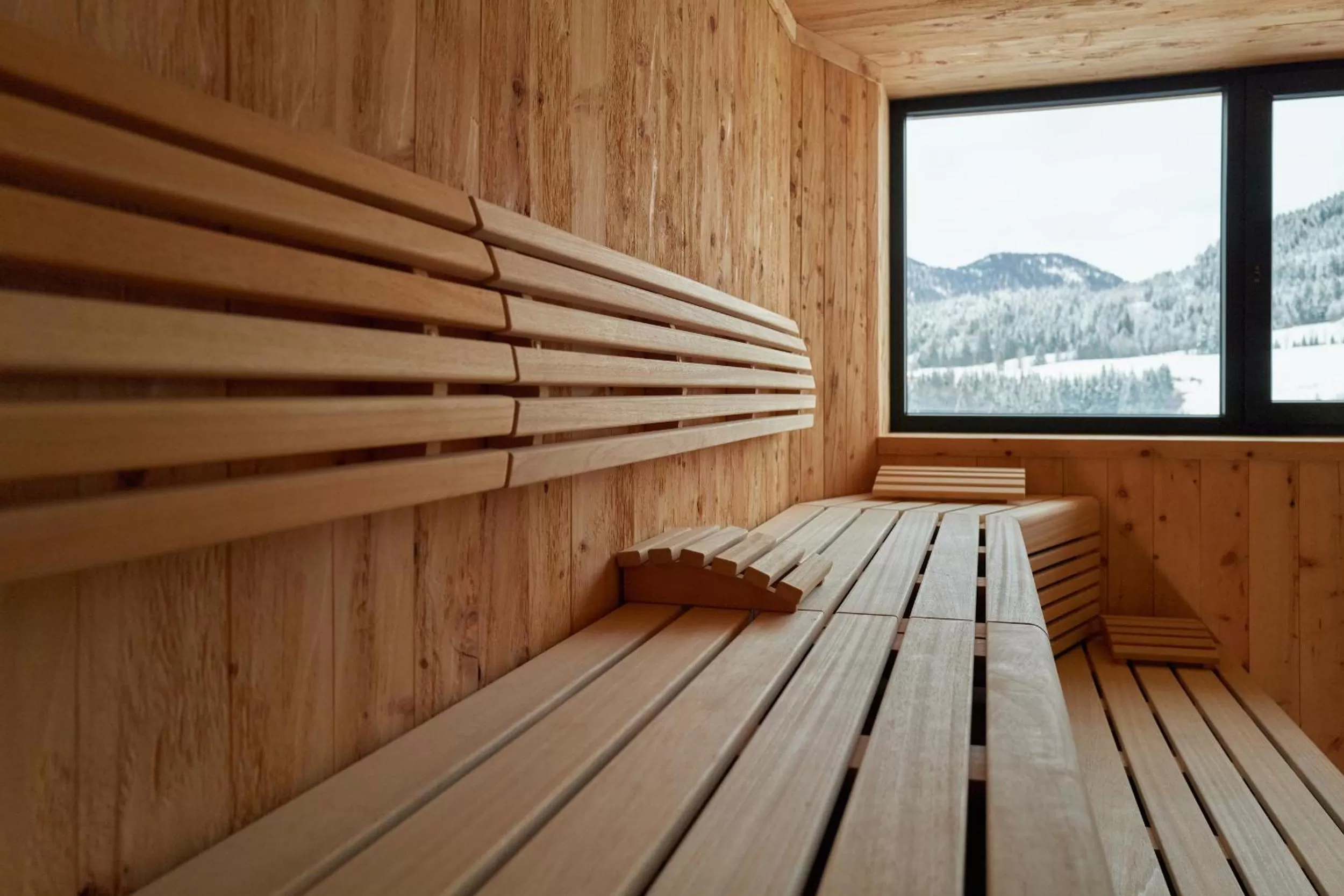 Sauna in Home suite home