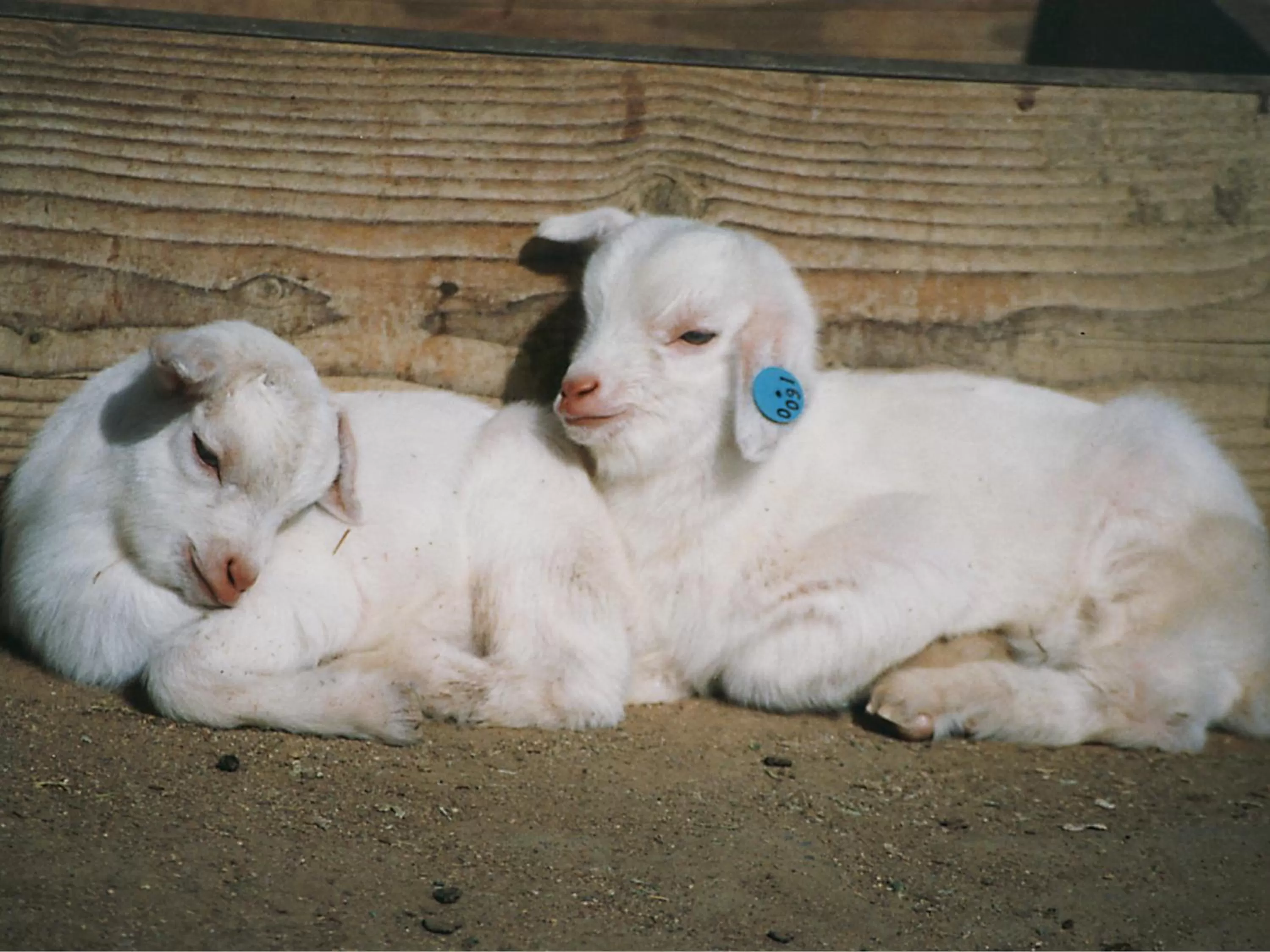 Nearby landmark in Hotel Wing International Select Osaka Umeda