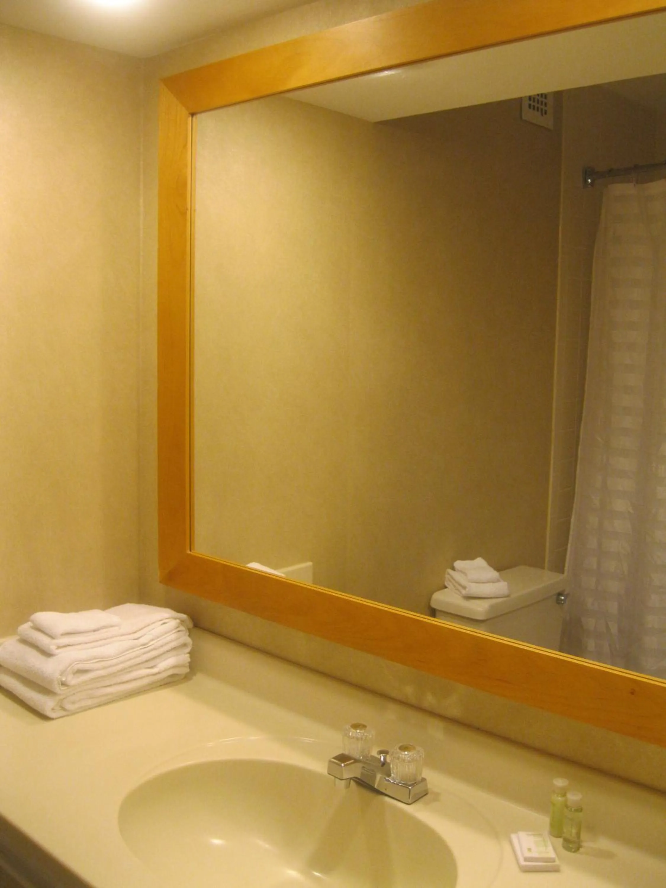 Bathroom in The Avalon Hotel and Conference Center