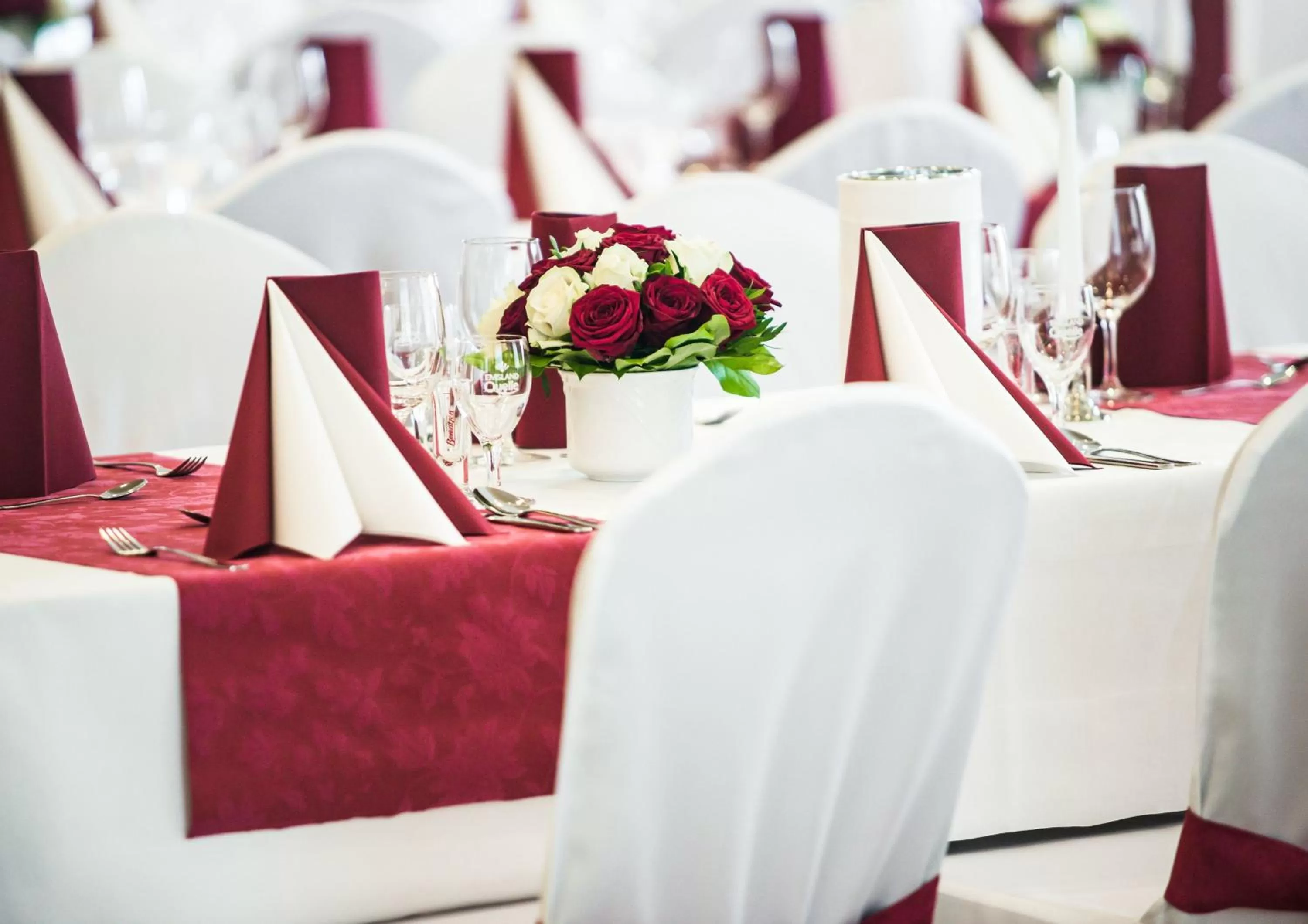 Banquet/Function facilities in Hotel Hilling
