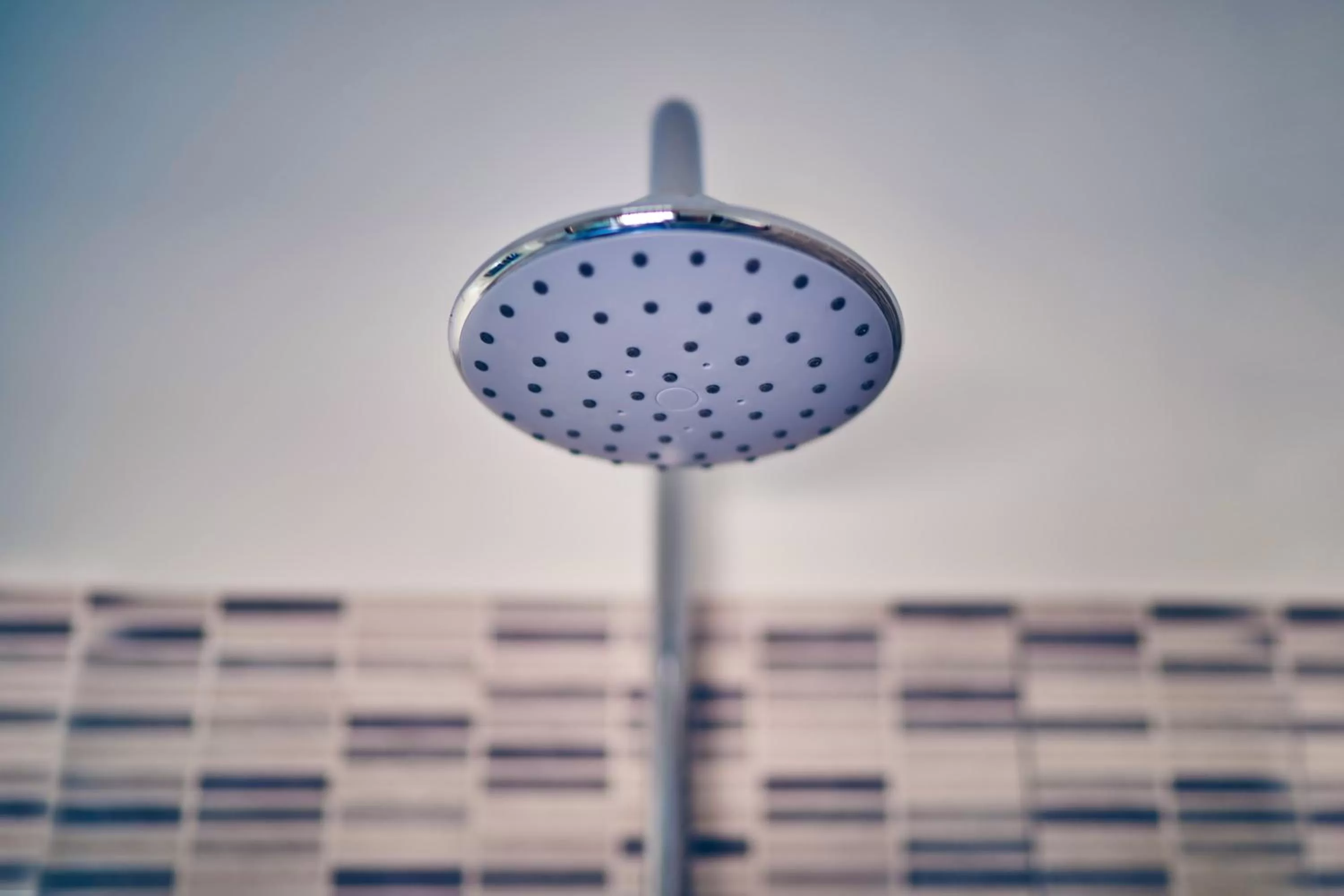 Travelershome 7metri