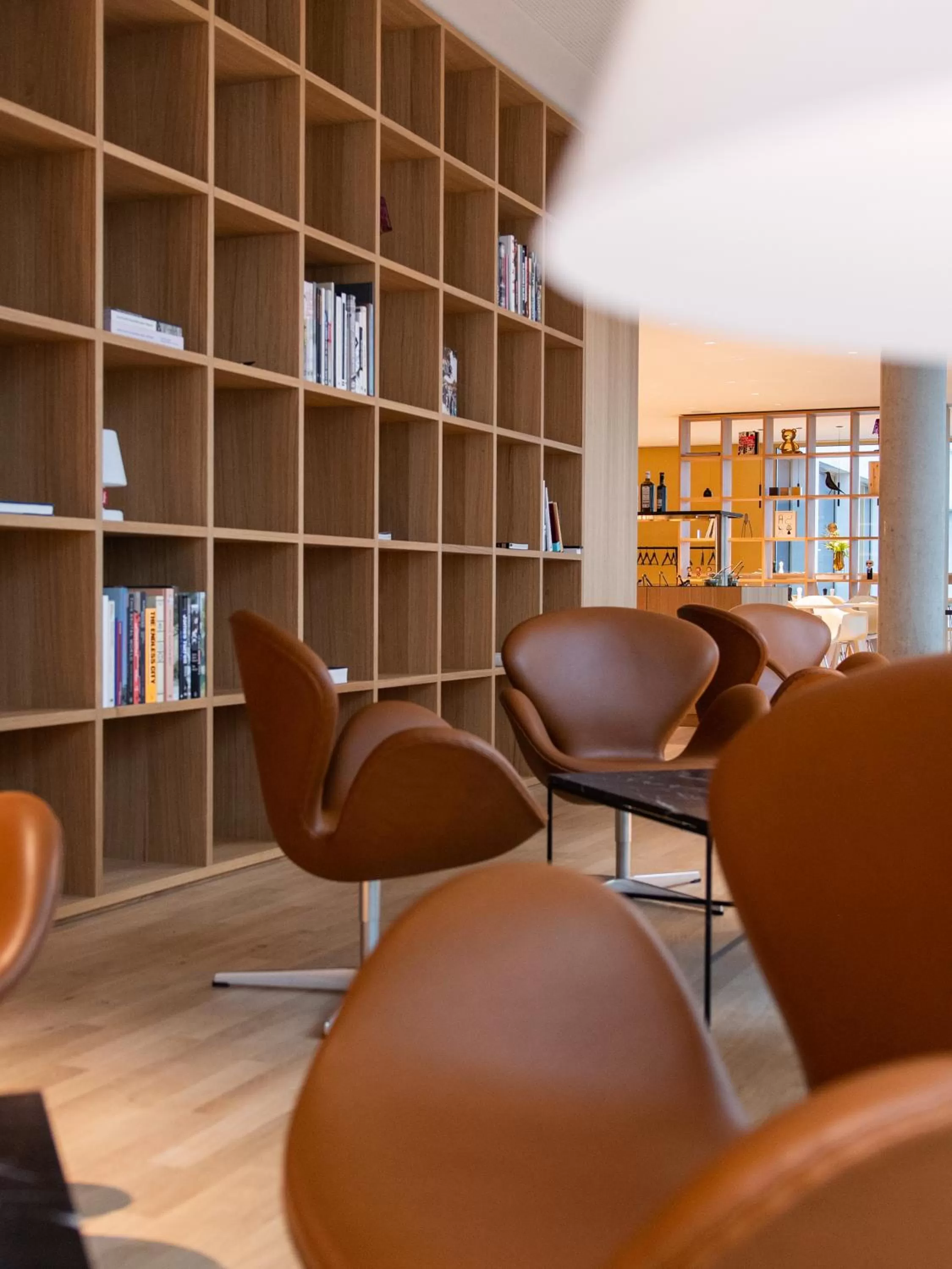 Library in Das Flint