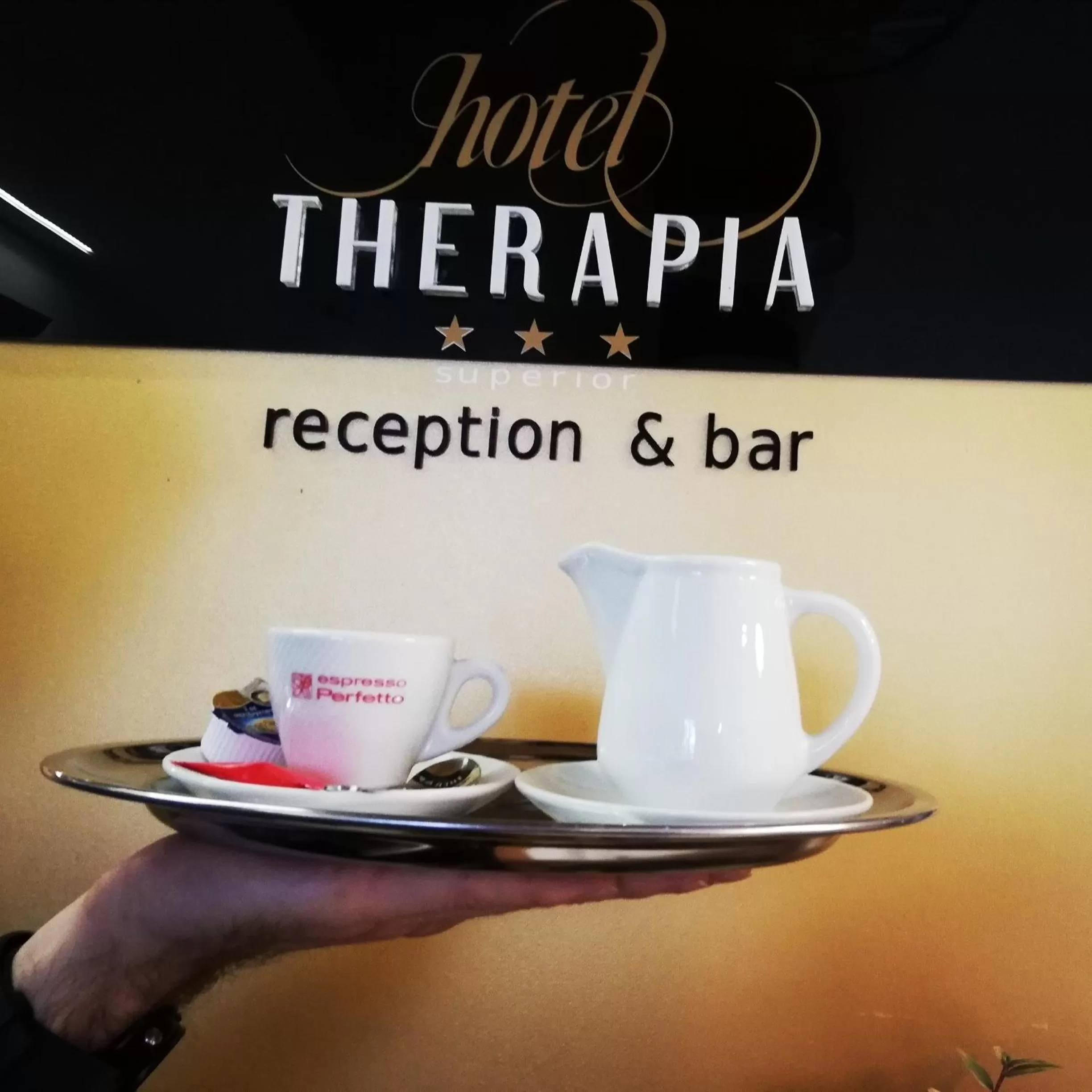 Lounge or bar in Hotel Therapia