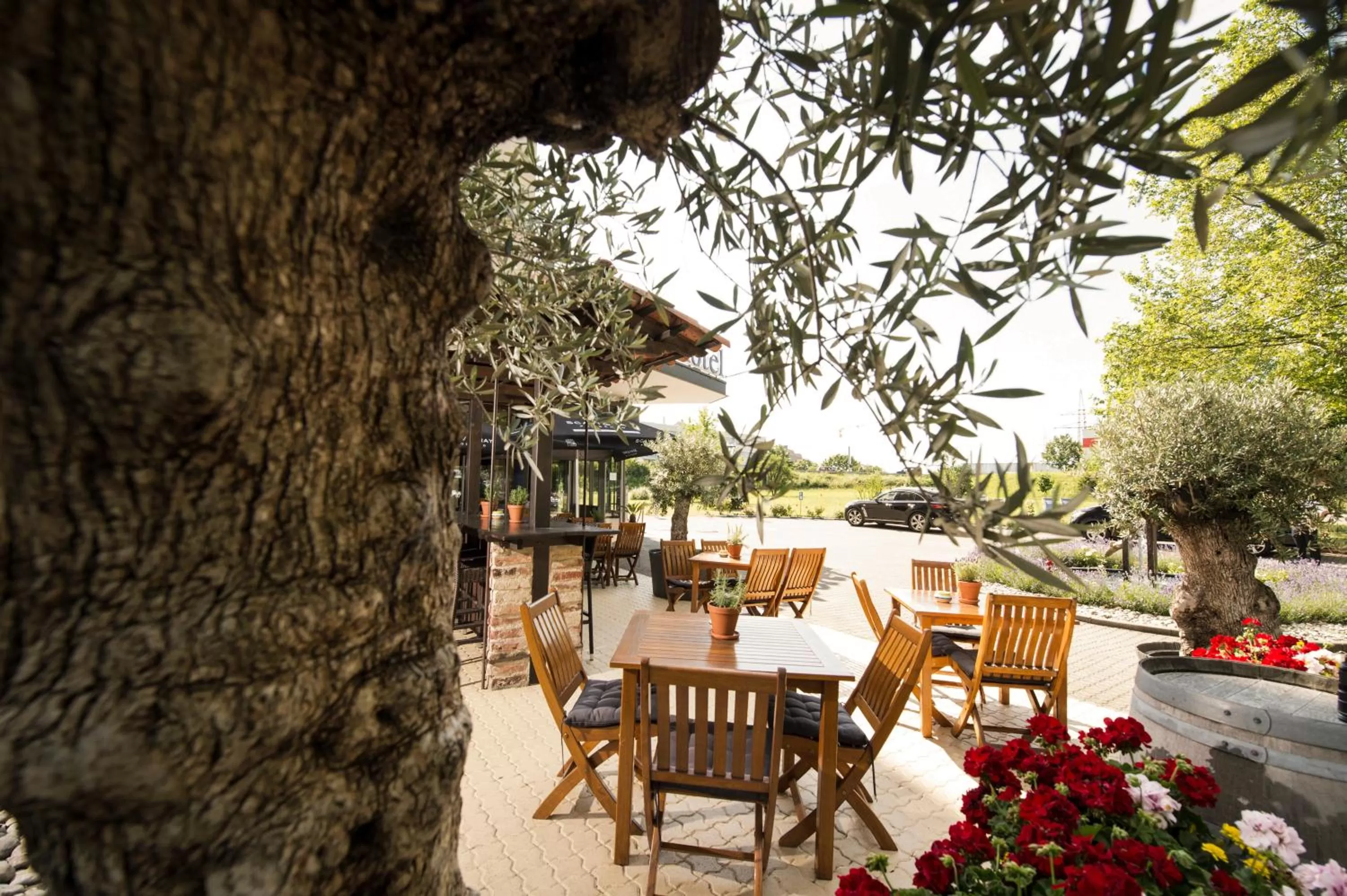 Patio in Carathotel Basel/Weil am Rhein