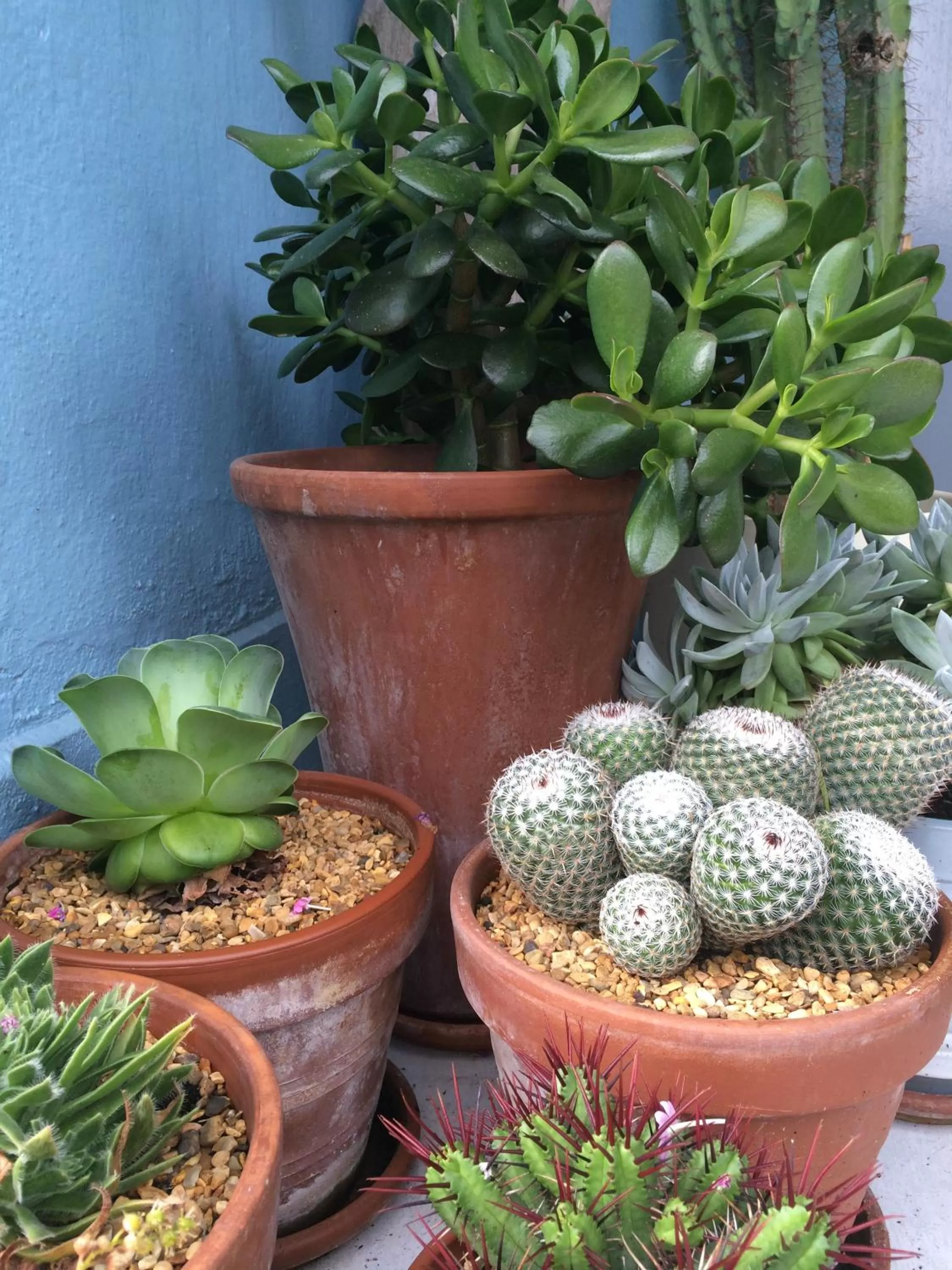 Food in Lyonesse Guest House