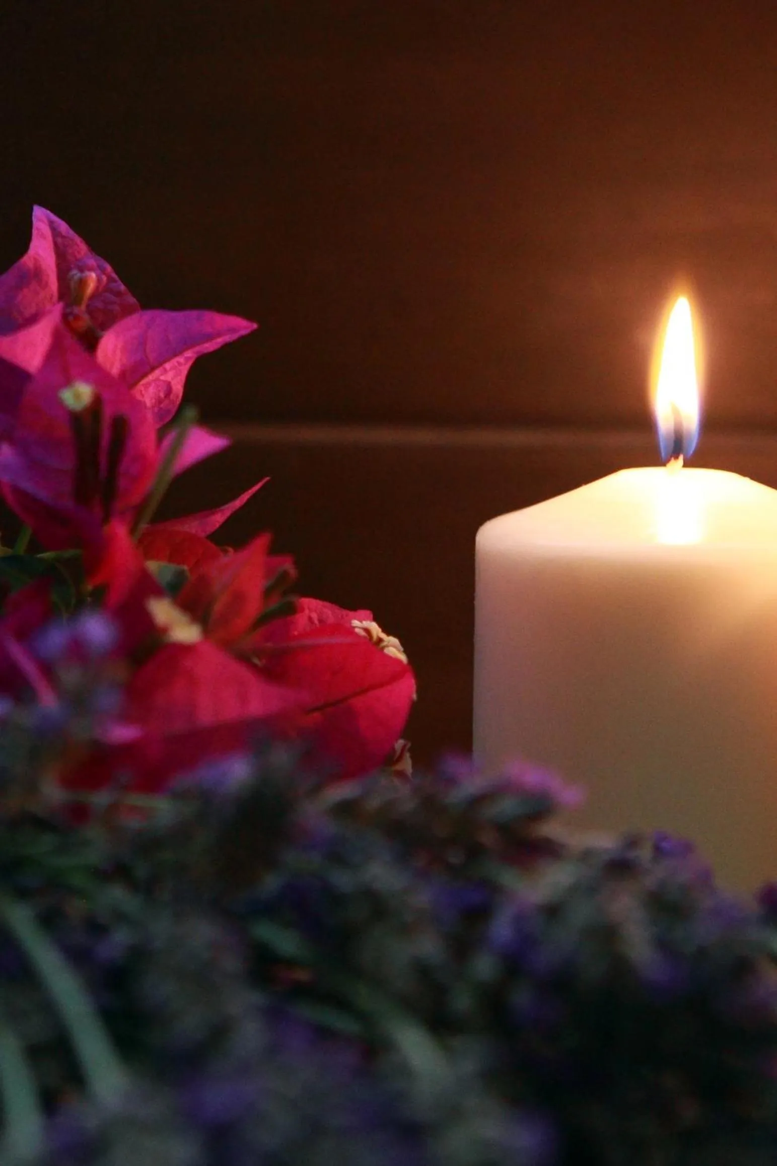 Spring in Hotel Colonne