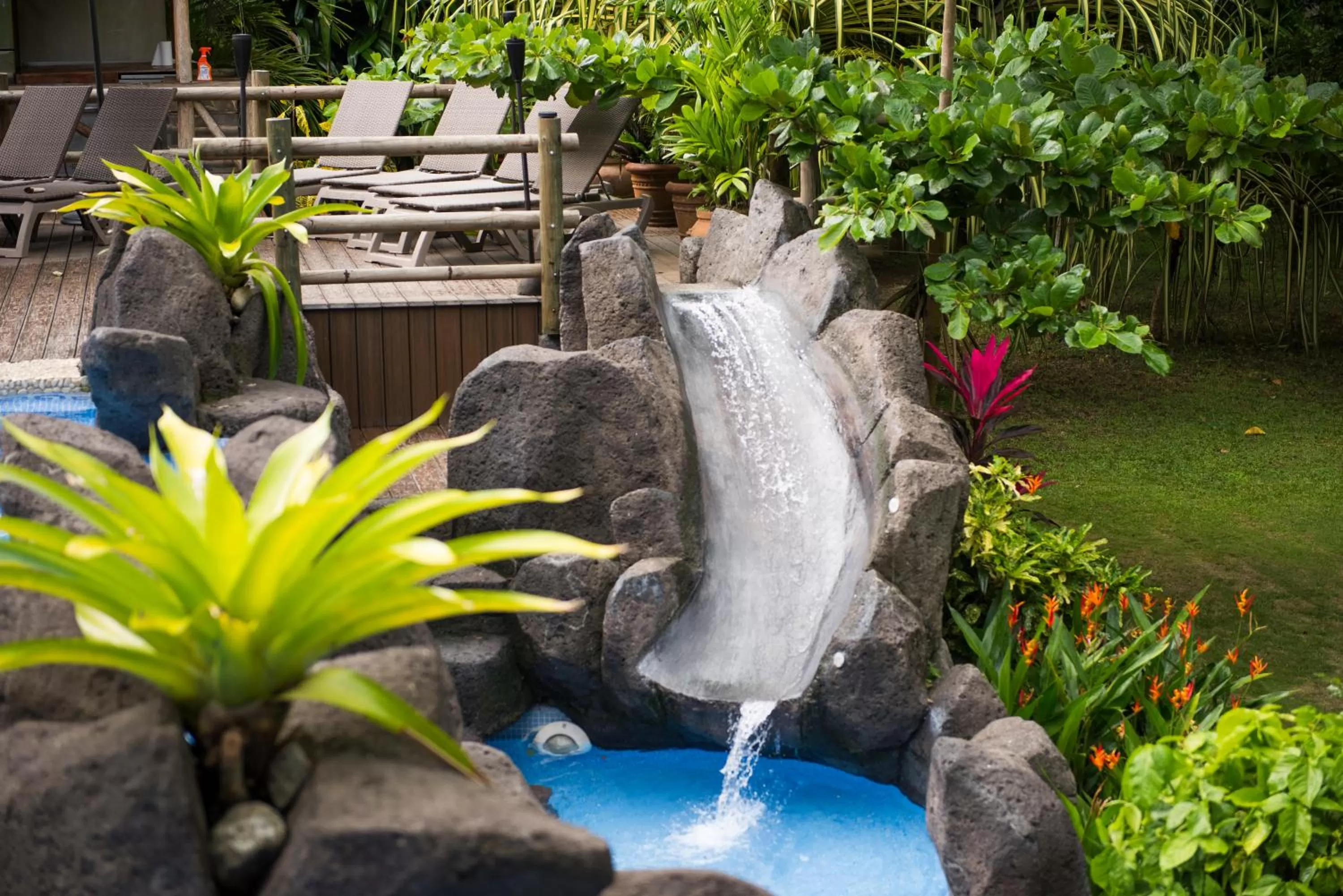 Garden in Pumilio Mountain & Ocean Hotel