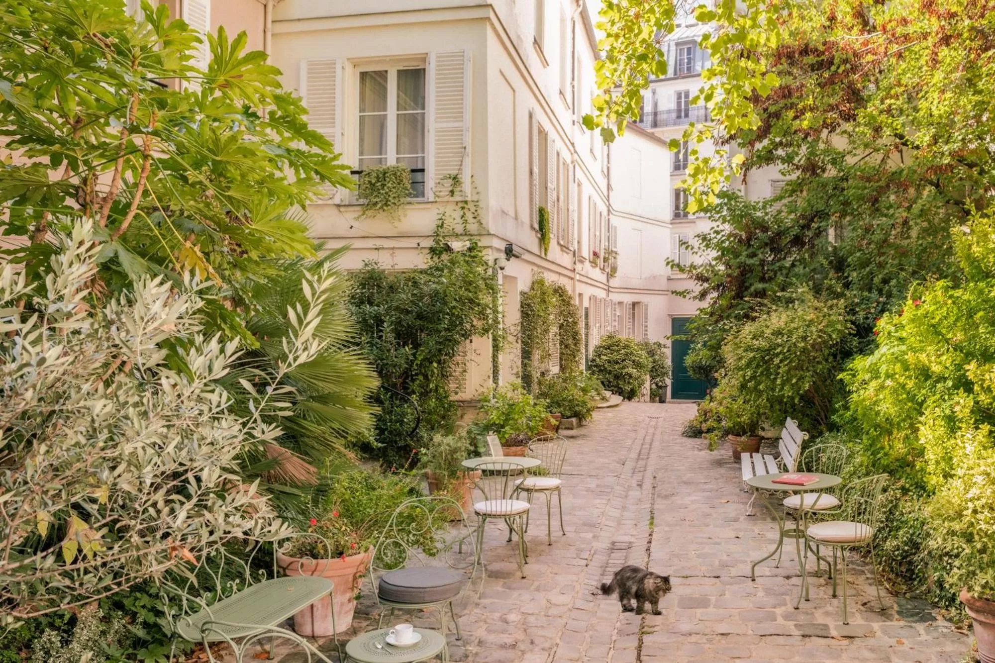 Garden in Hotel des Grandes Ecoles