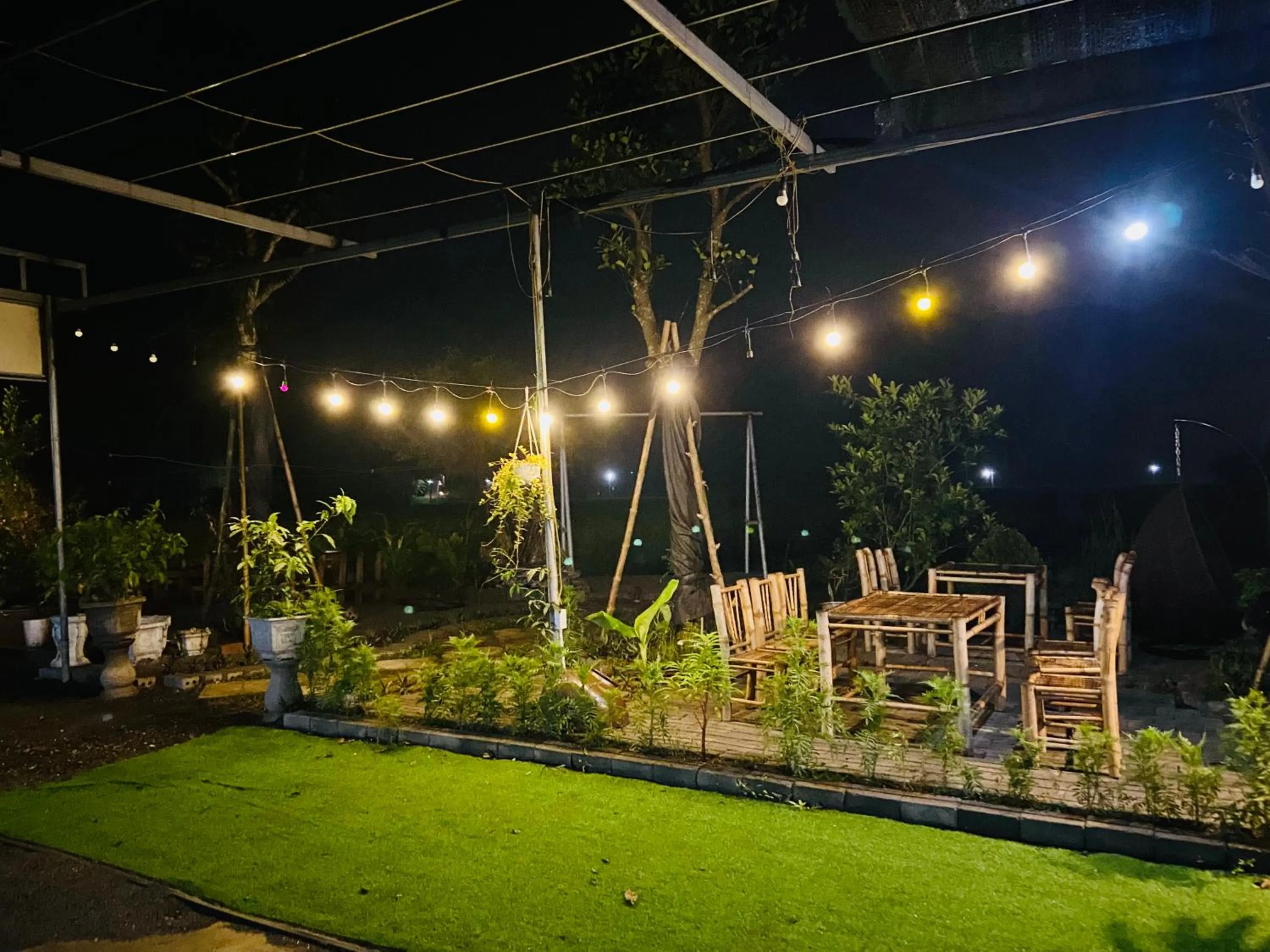 Tam Coc Mountain View Homestay