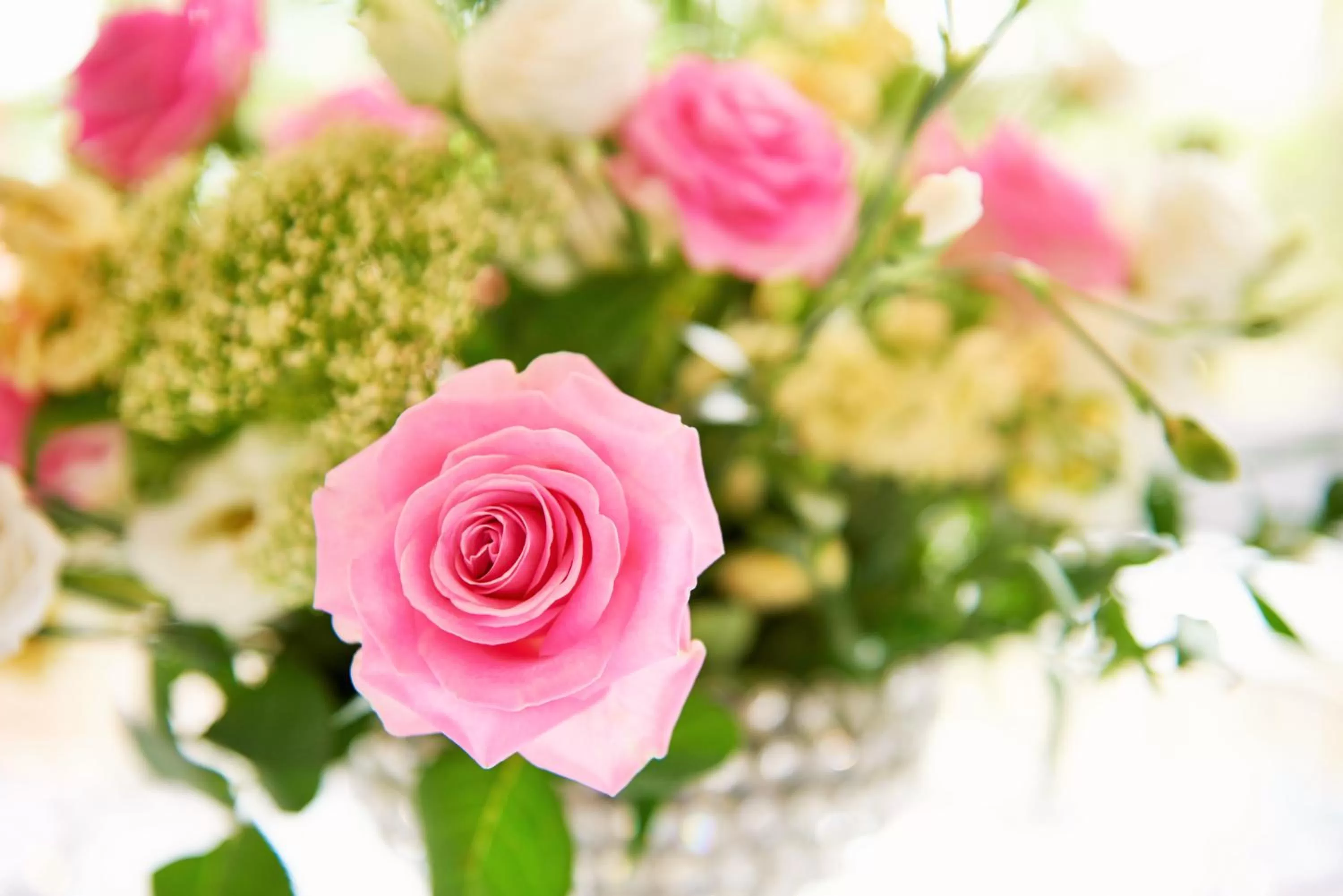 Decorative detail in St James Hotel