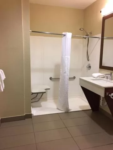 Shower in Comfort Inn Early Brownwood