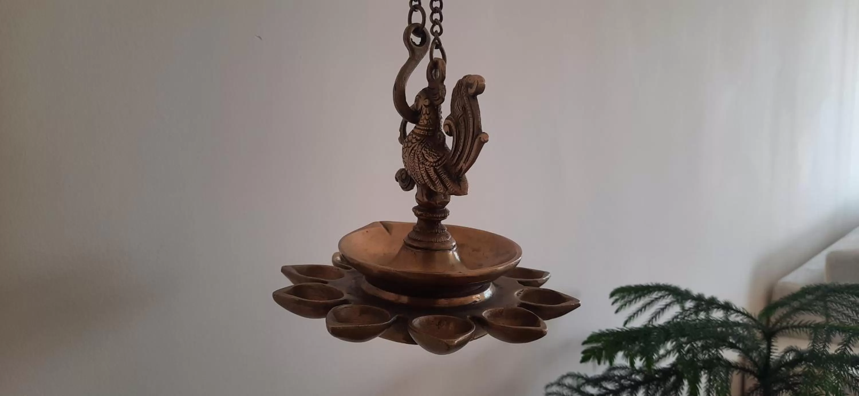 Area and facilities in Golden Healing Journeys Homestay