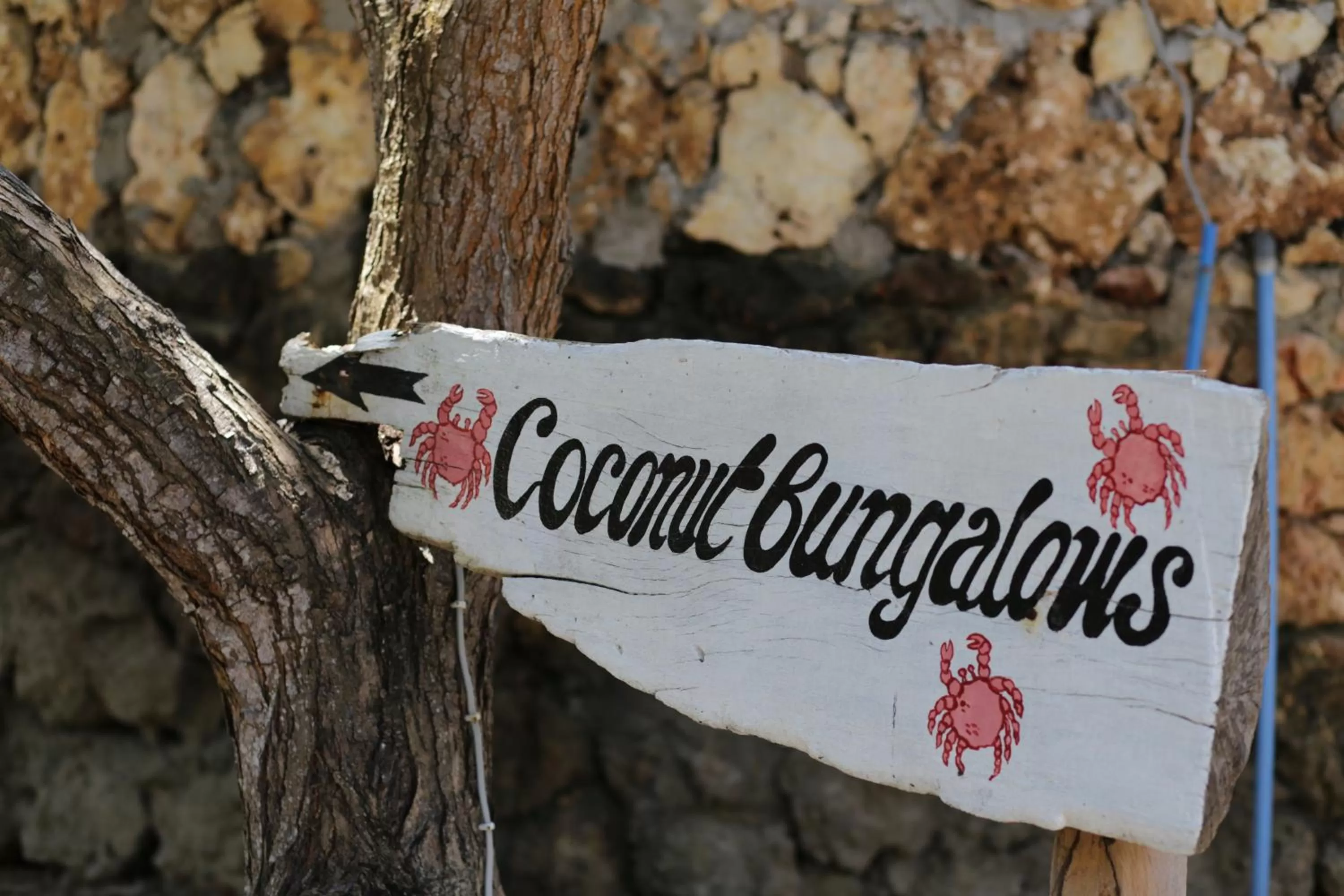 The Beach Crab Resort