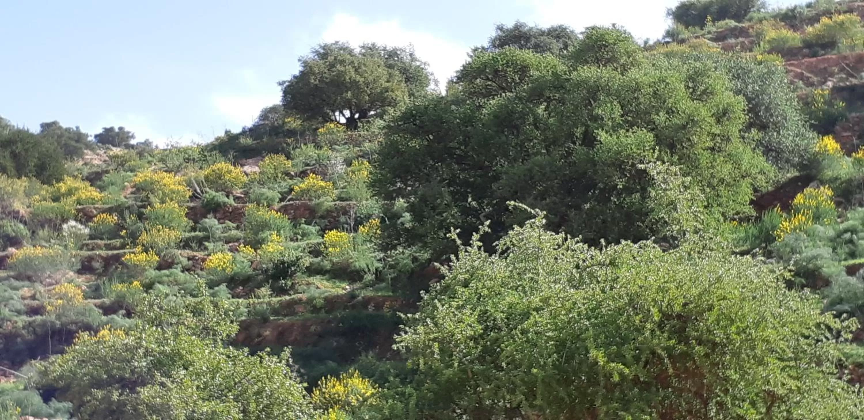 Natural landscape in Les Trois Paons