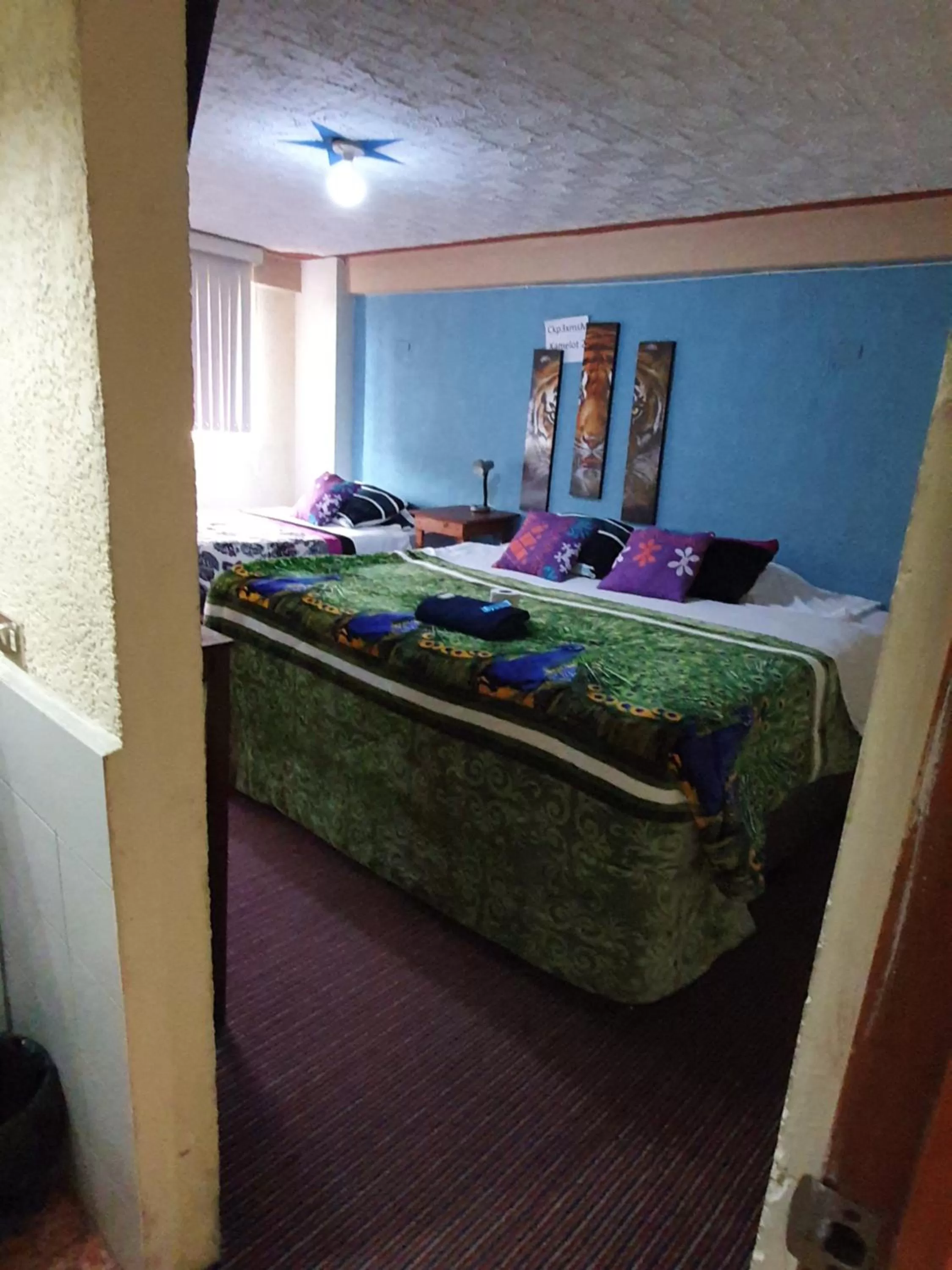 hotel kasa kamelot 2