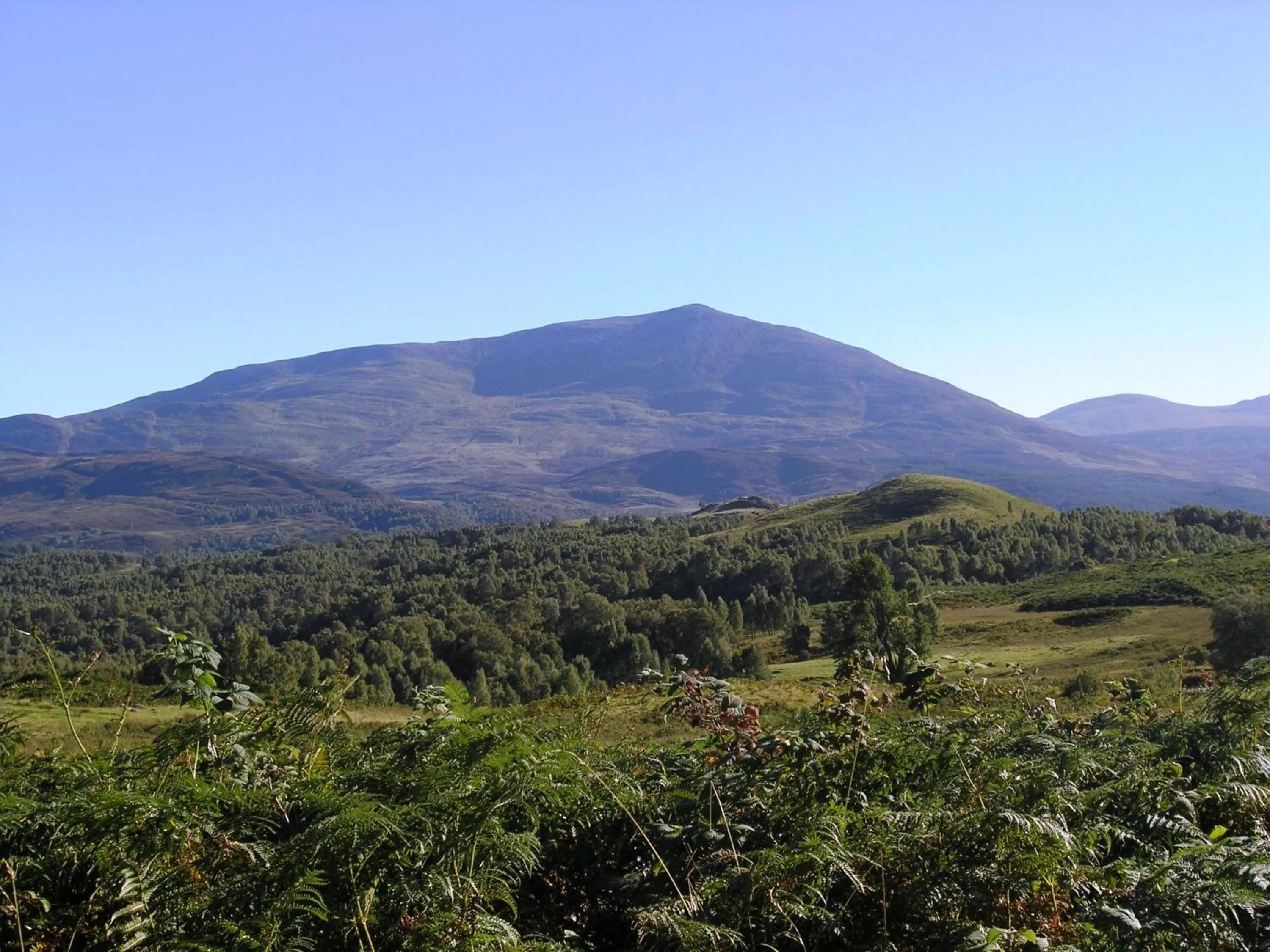 Area and facilities in Moulin Hotel