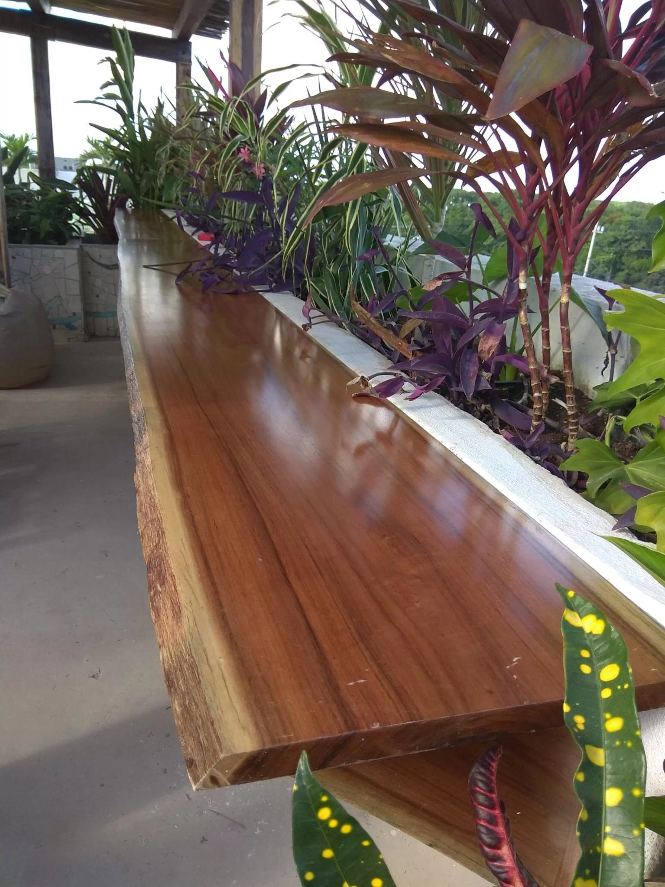 Balcony/Terrace in La Palmita Budget Boutique Hotel