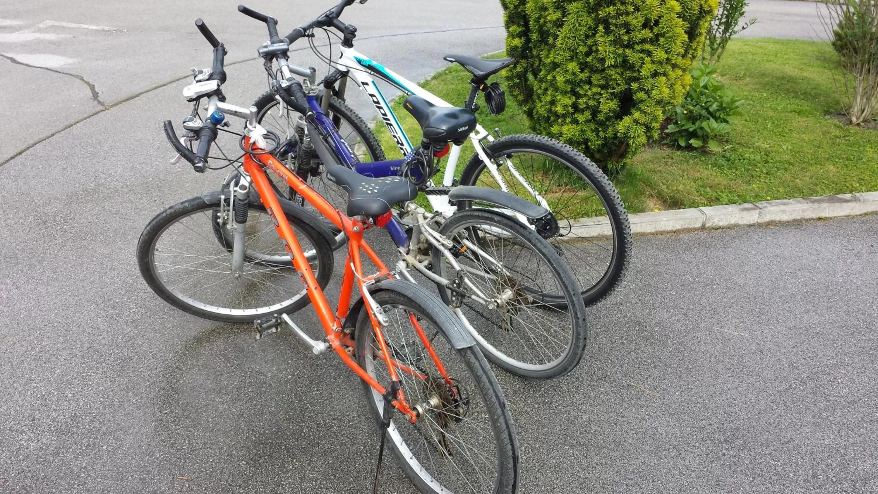 Cycling in Rooms & Apartments Jana