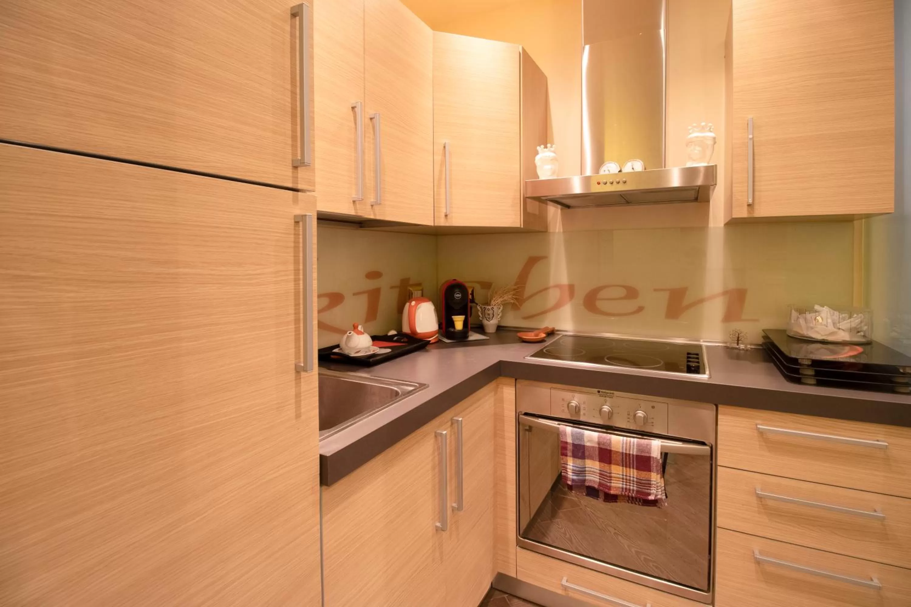 Kitchen or kitchenette in THE PALACE B&B and Apartments