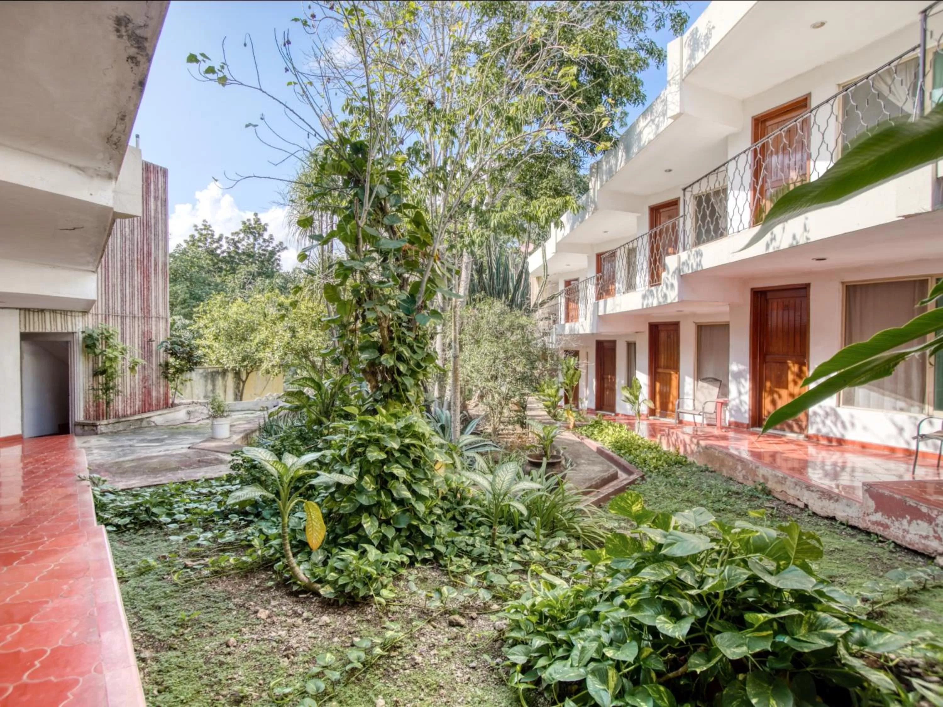 Garden, Property Building in Hotel San Carlos