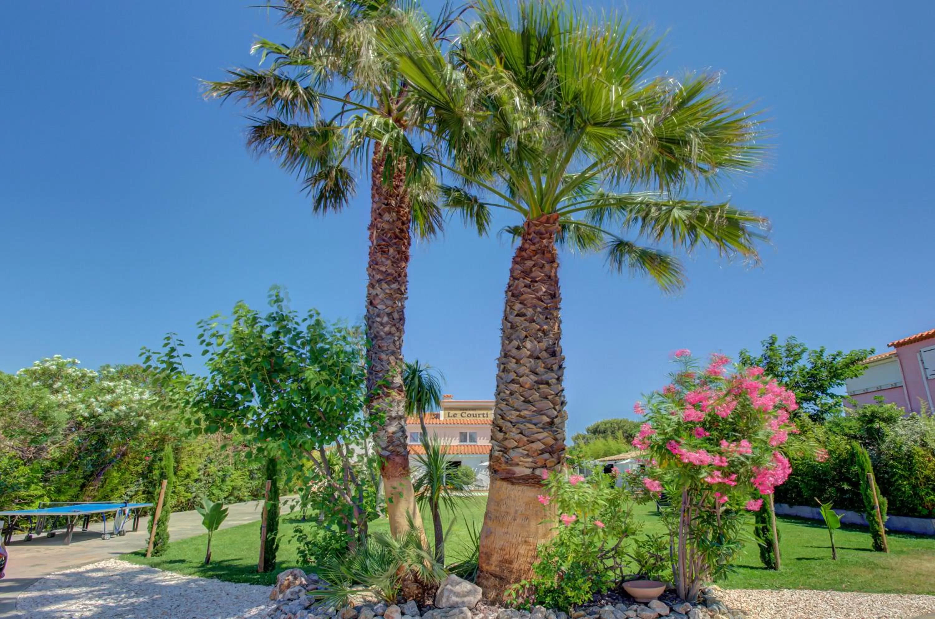 Garden in Domaine Le Courti - Adult only