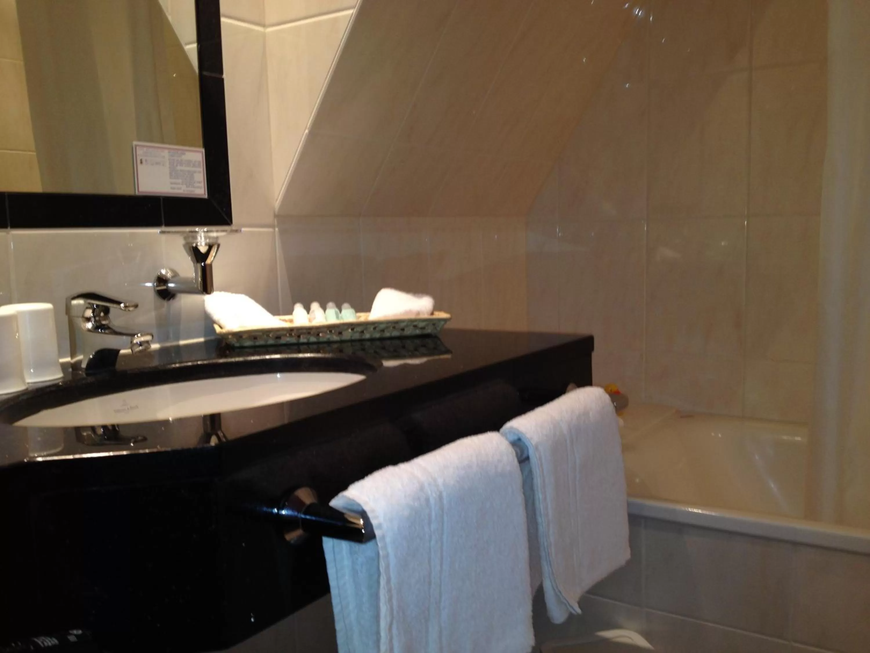 Bathroom in Hotel Twilling