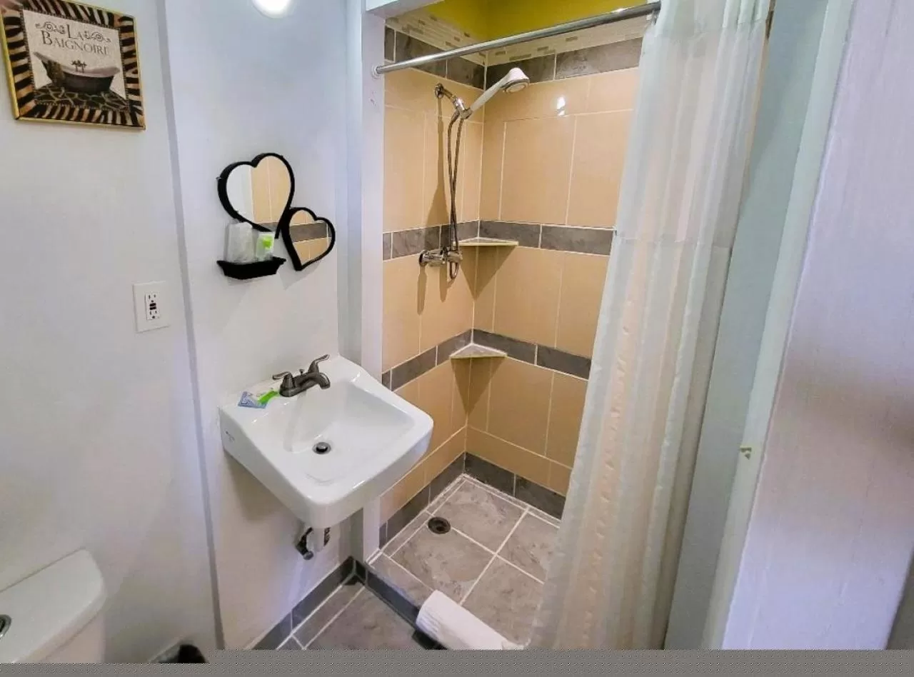 Shower in Rose's Motel