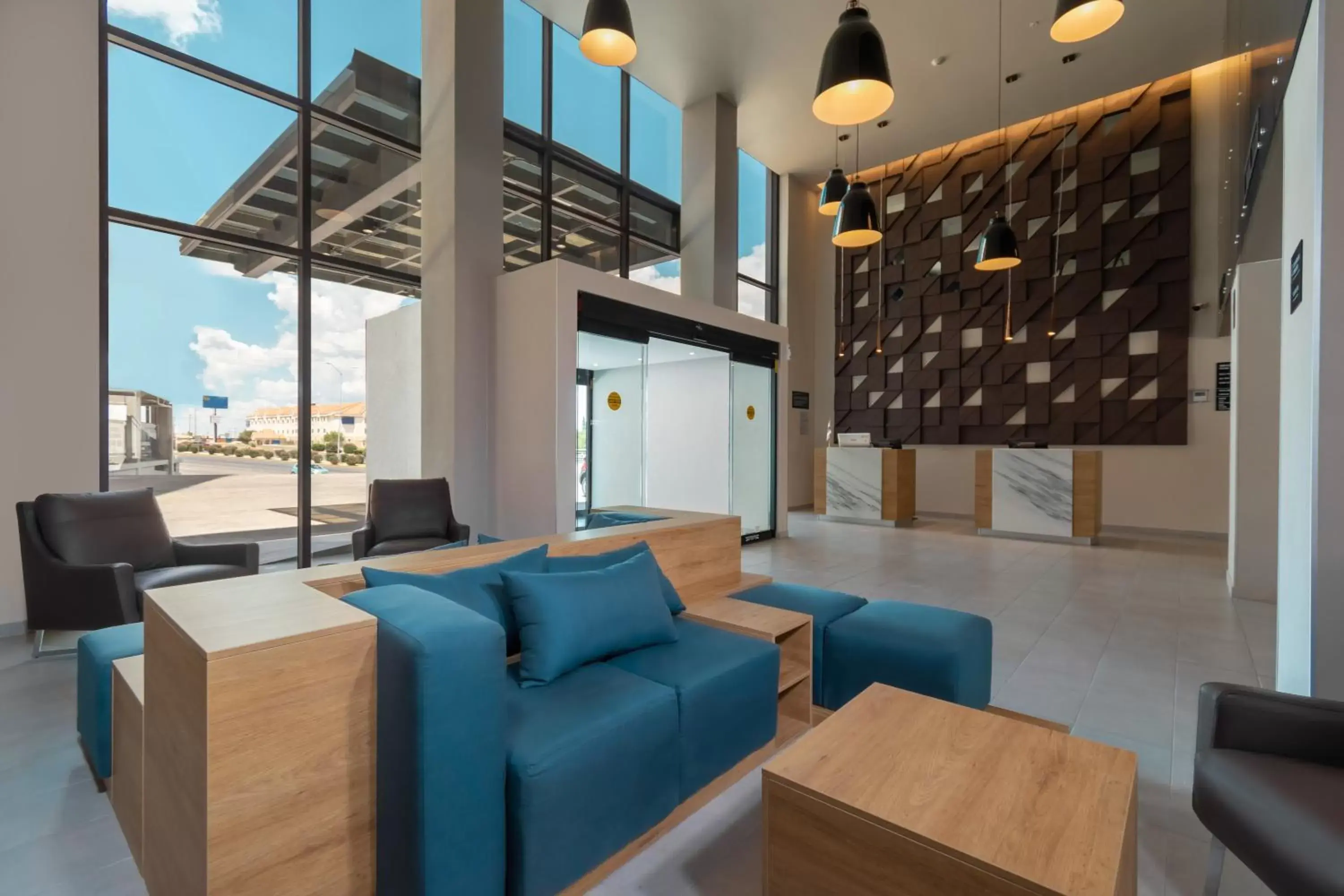 Highland Chihuahua Highland Chihuahua