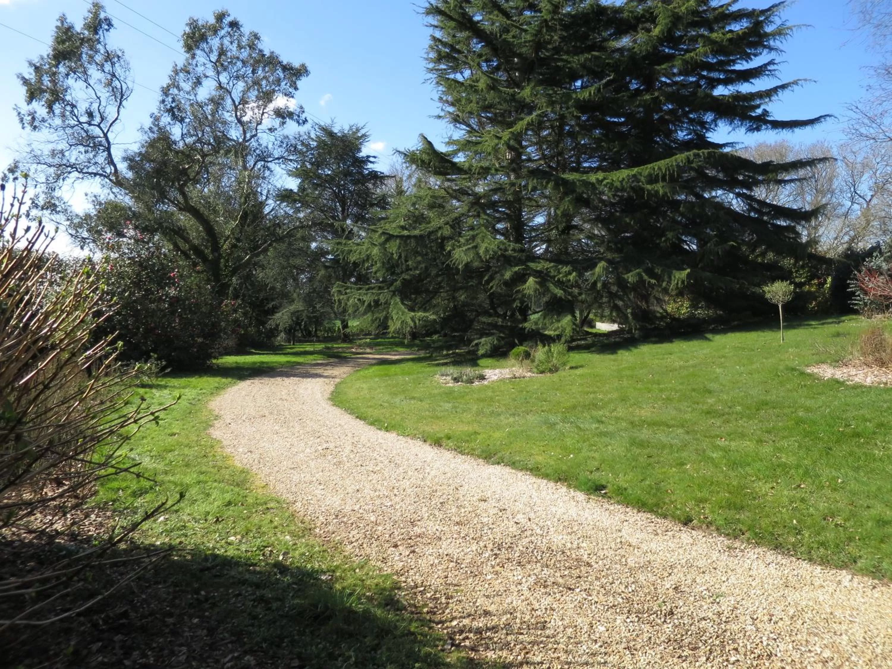 Garden in KerBlondel
