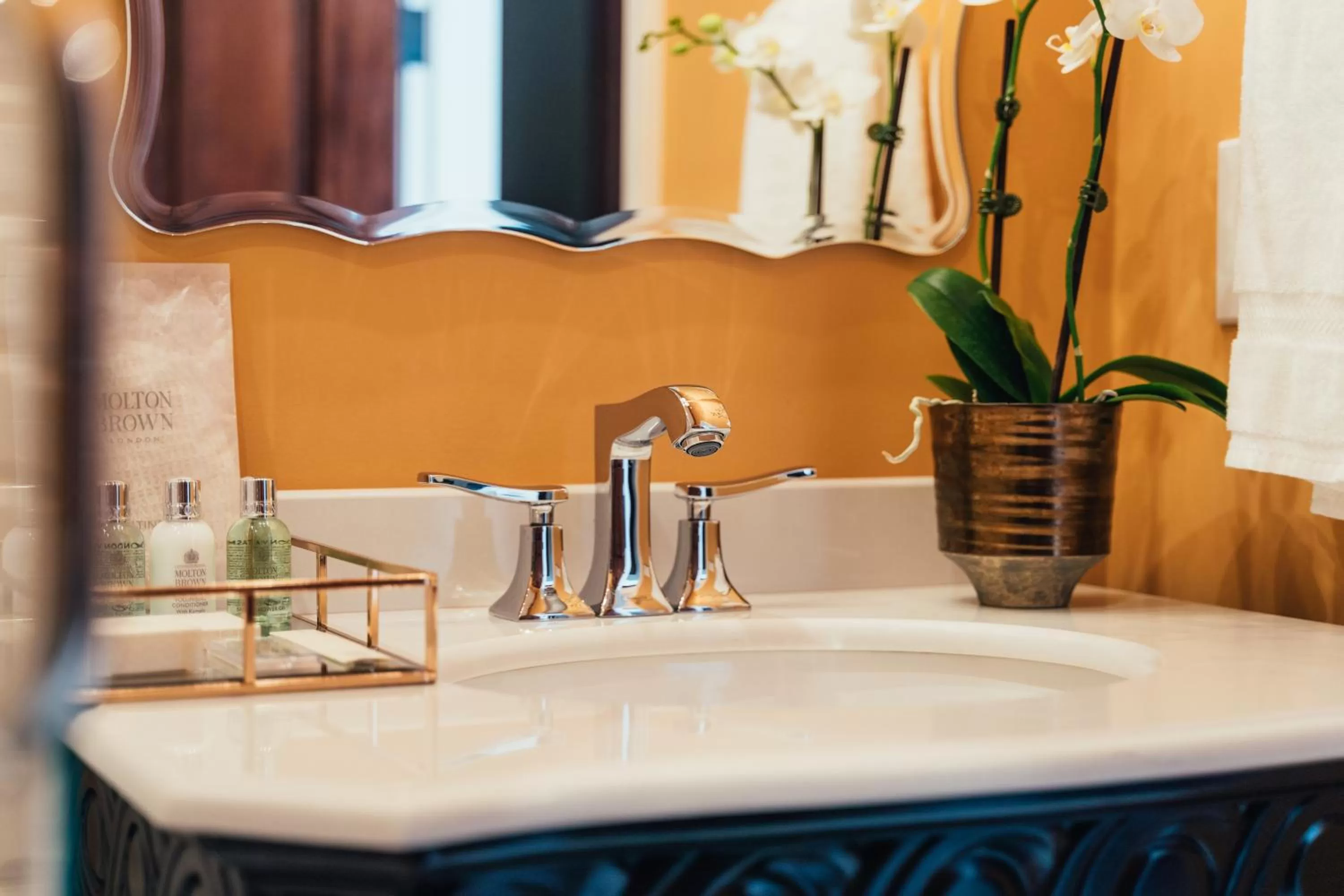 Shower in Neighbourgood Sutter Mansion