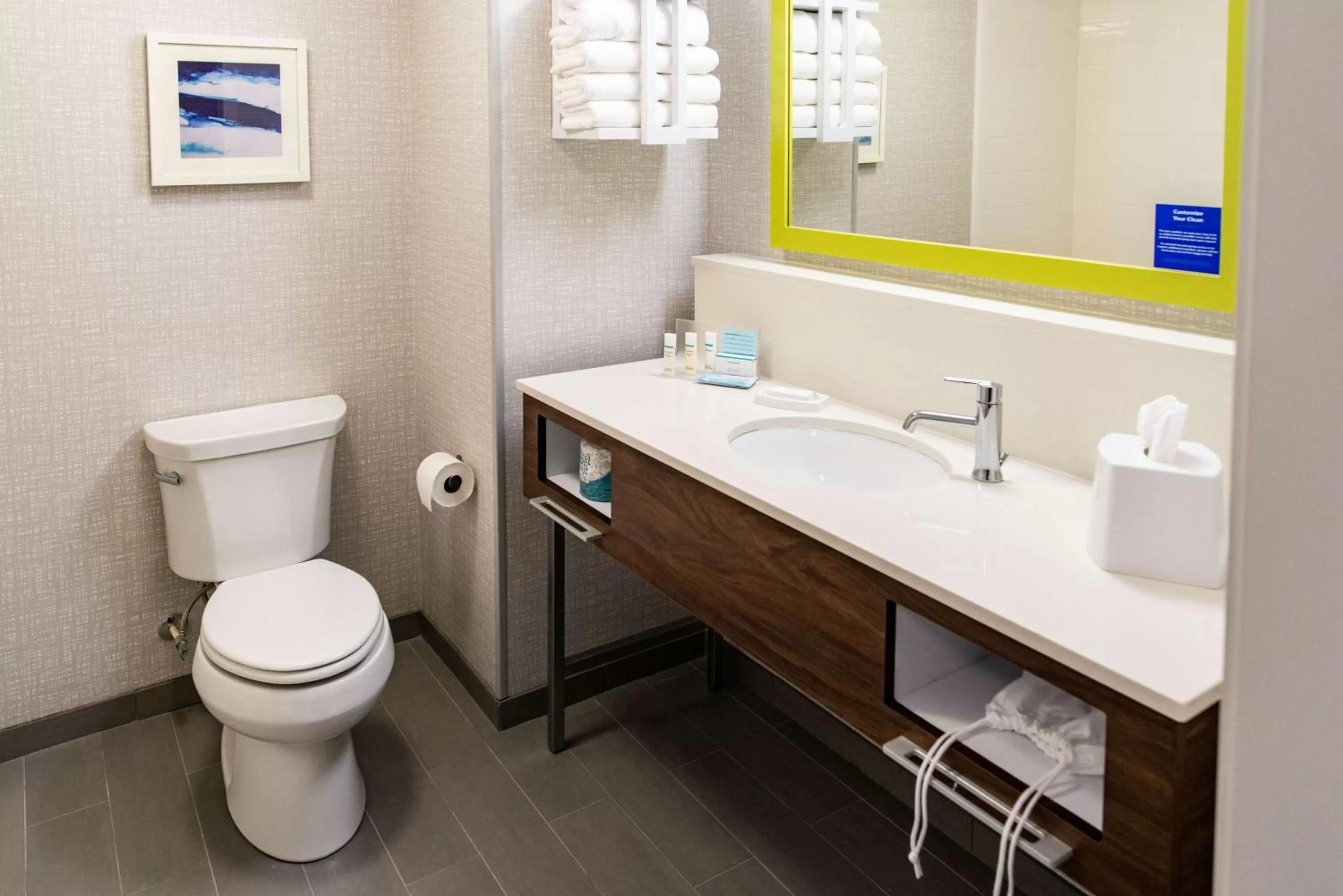 Bathroom in Hampton Inn Paris IL, IL