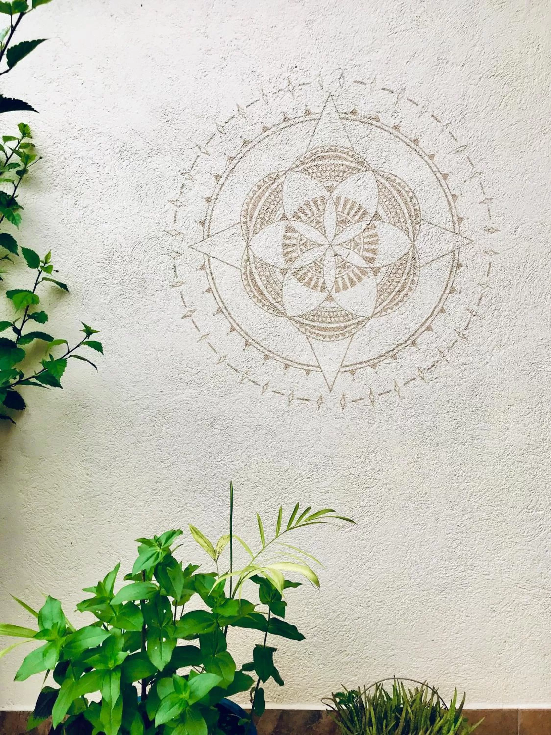 Other in Sattva Land