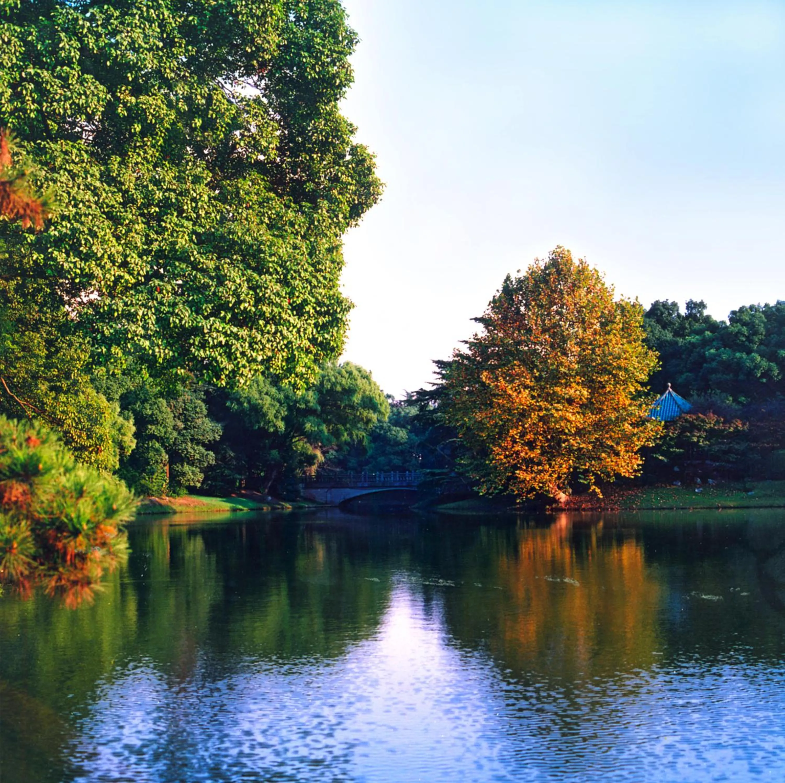 Garden in Xijiao State Guest Hotel