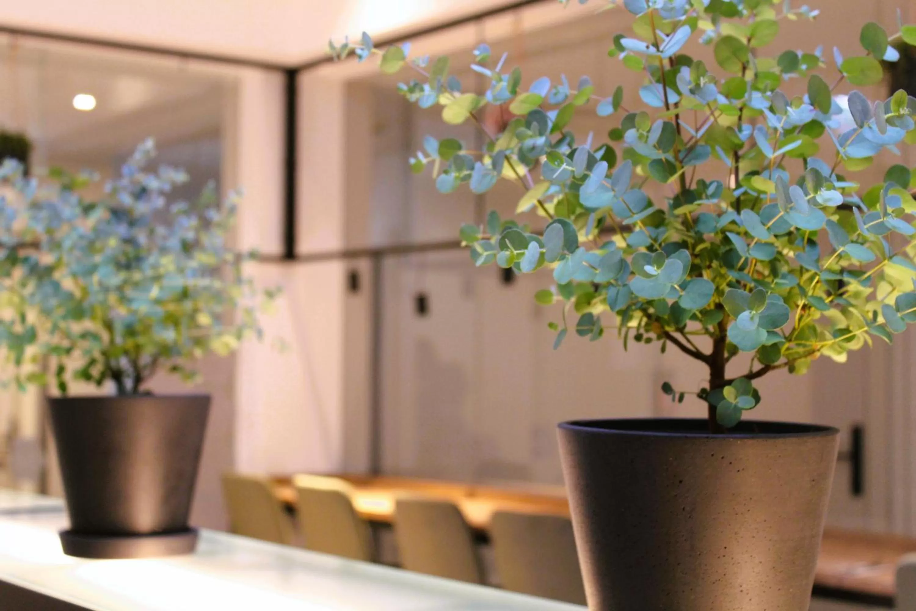 Breakfast in BEE GREEN Linz Self-Check-in-Hotel