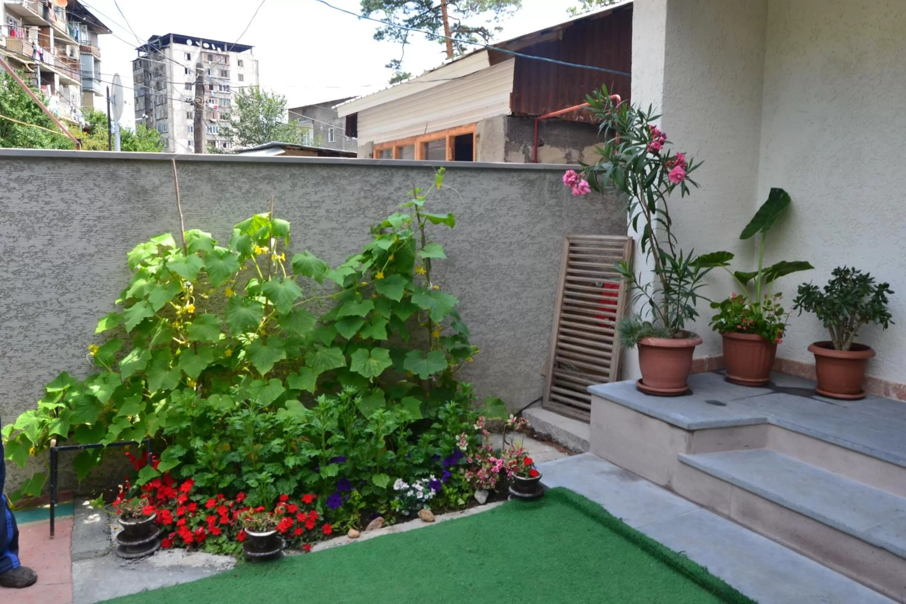 Summer in Borjomi Villa Roma