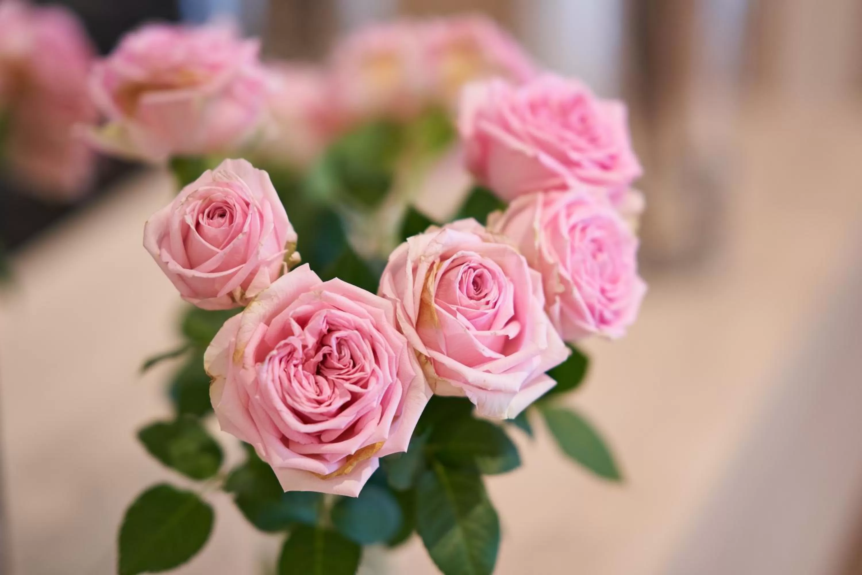 Property building in Hotel Marco Polo