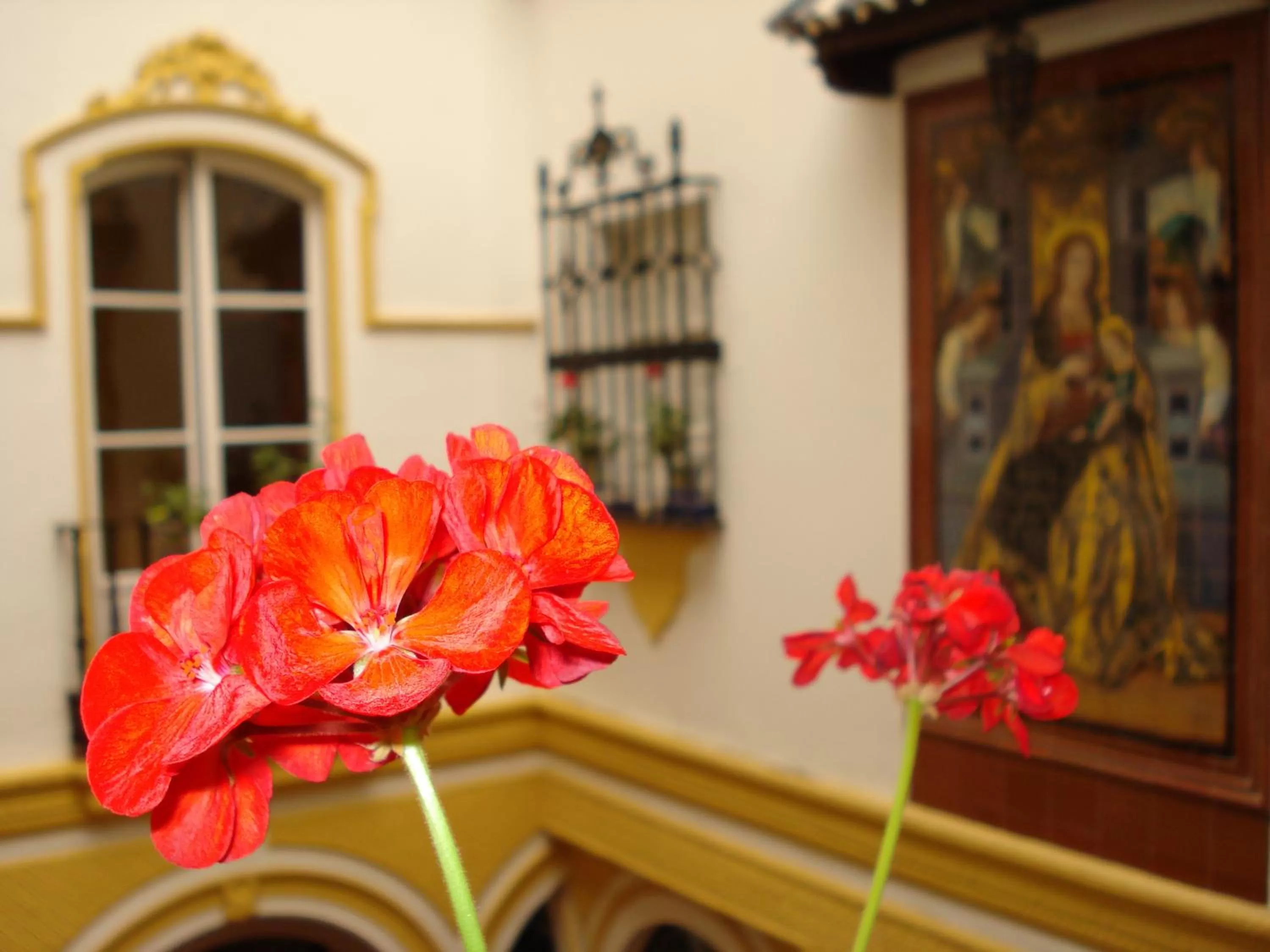 Decorative detail in Hotel Abanico Casa Palacio
