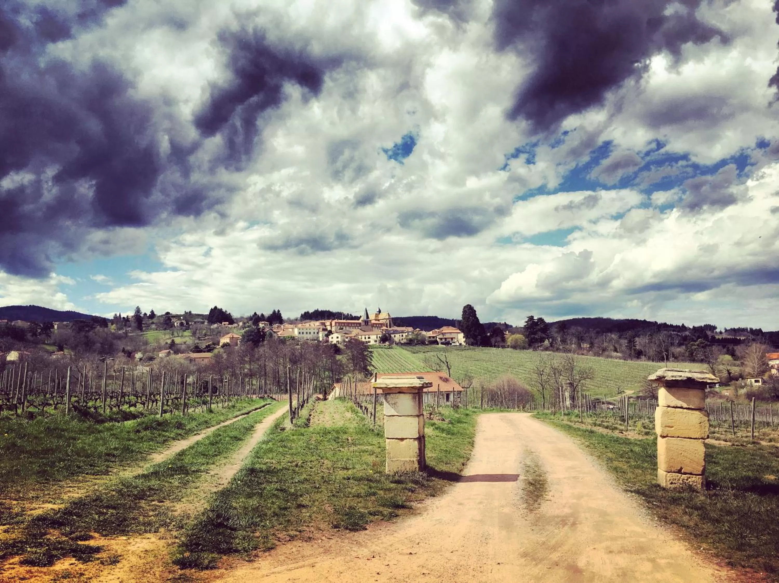 Neighbourhood in Gites Le Lancelot